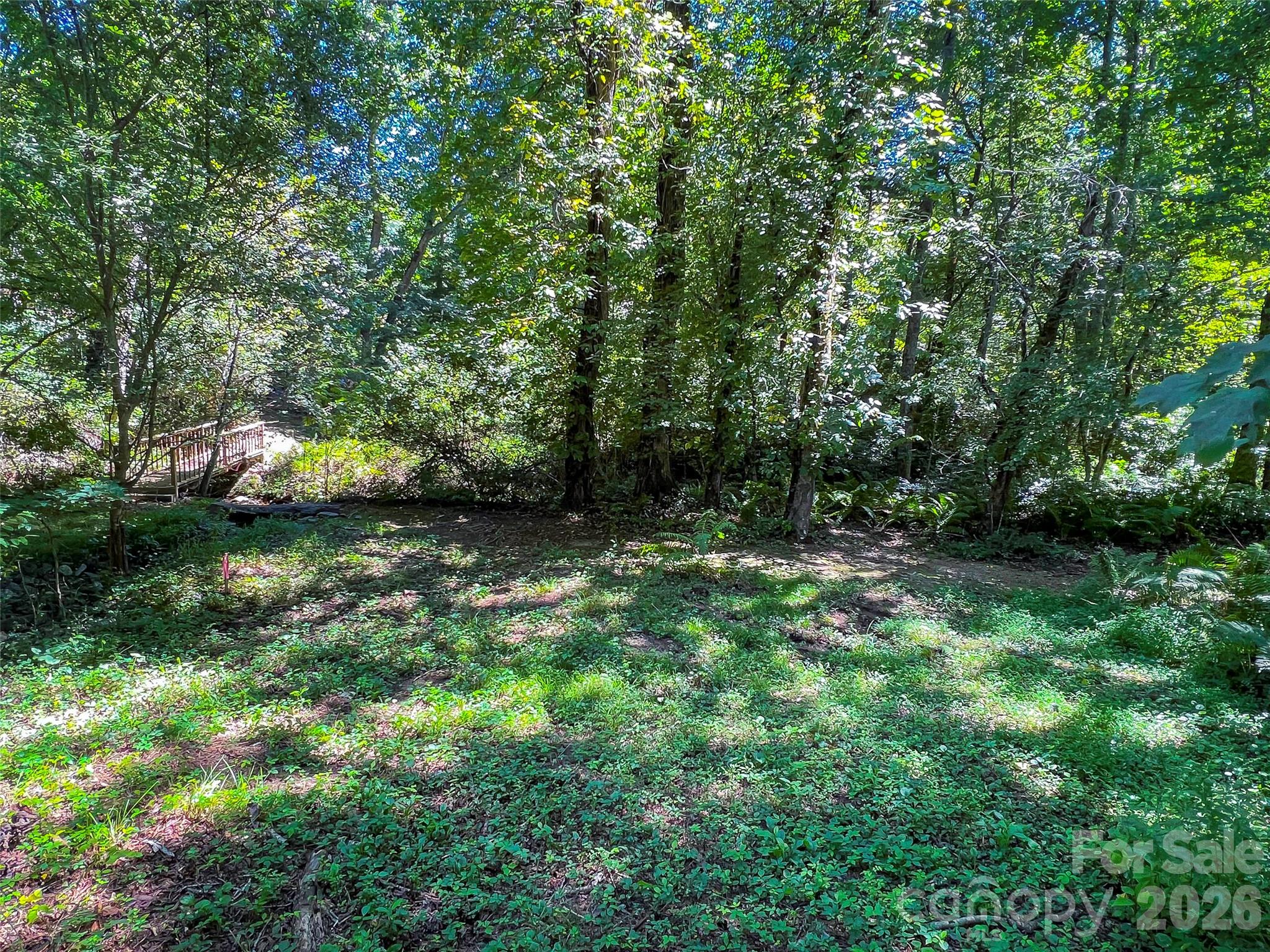 19 Mountain Orchid Way 77 Property Photo 11