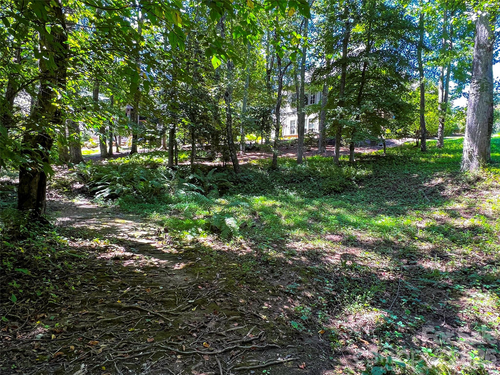 19 Mountain Orchid Way 77 Property Photo 15