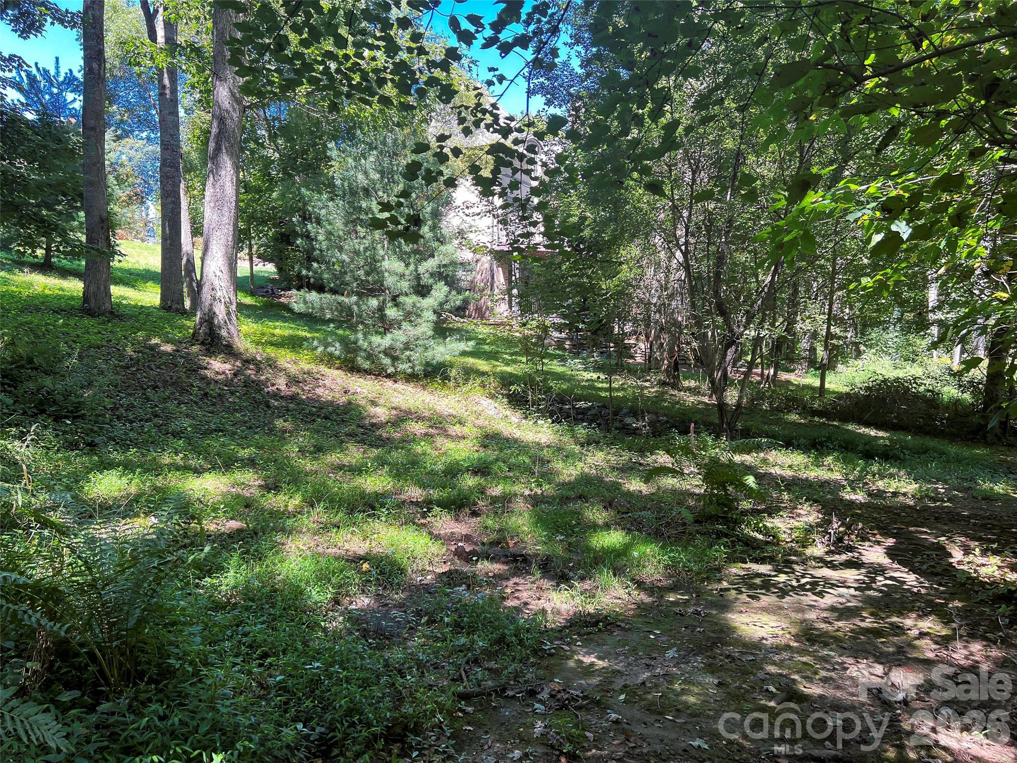 19 Mountain Orchid Way 77 Property Photo 16