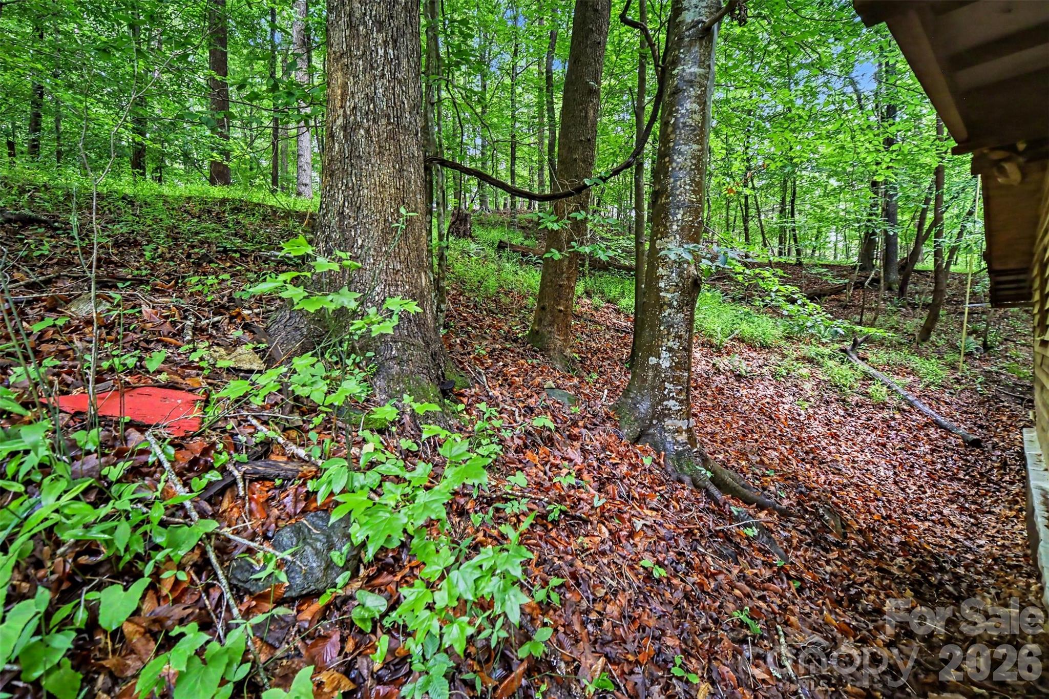 260 Cherrywood Lane Property Photo 45