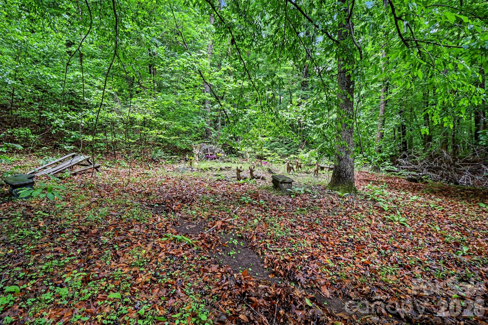 260 Cherrywood Lane Property Photo 48