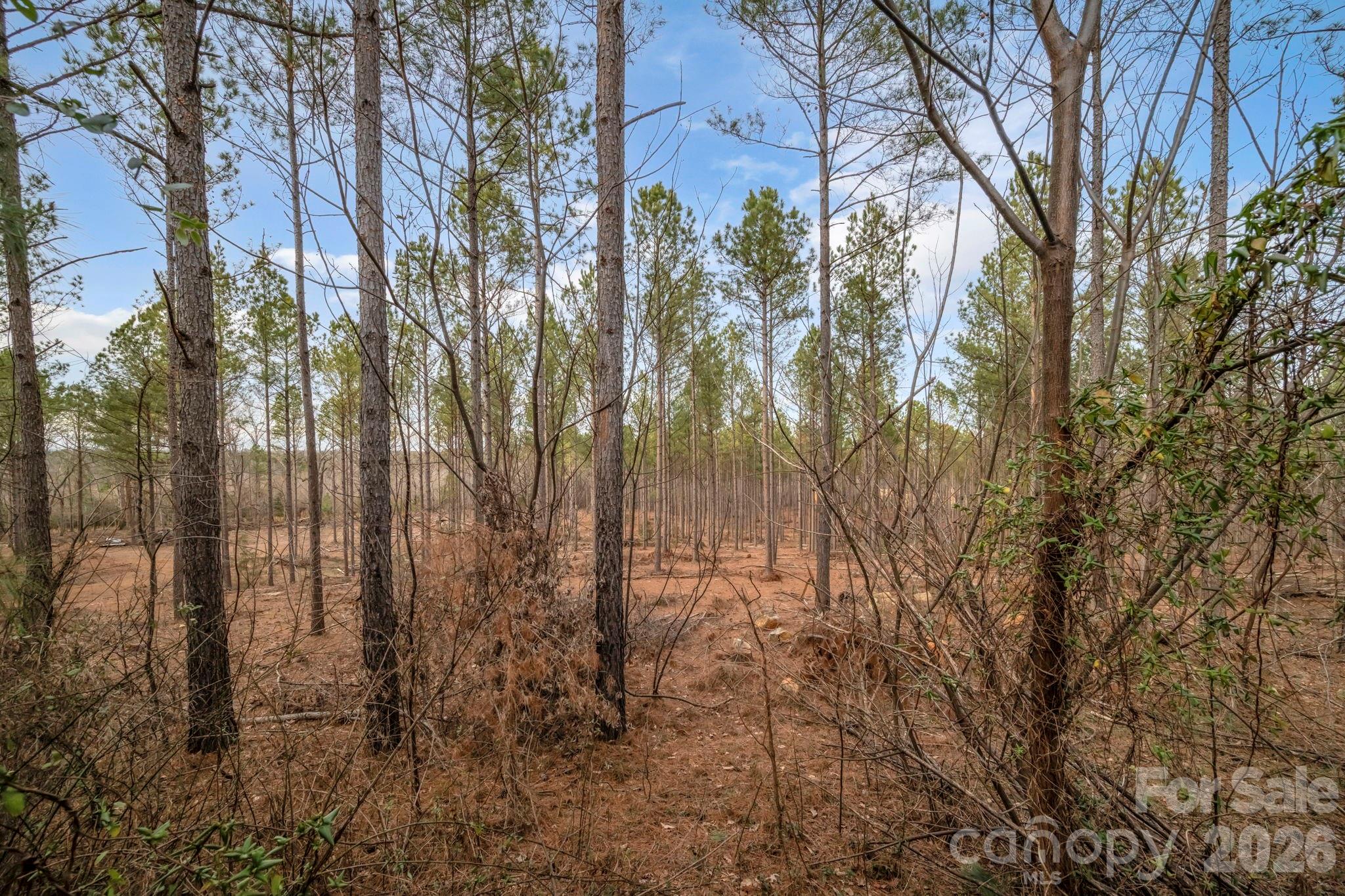 7812-a Hwy 742 Highway Property Photo 1