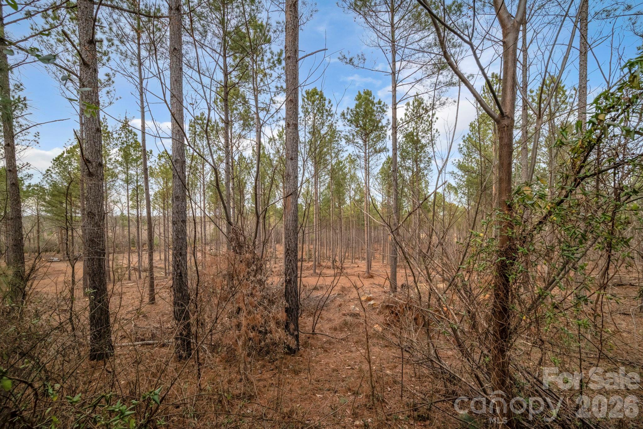 7812-a Hwy 742 Highway Property Photo 1