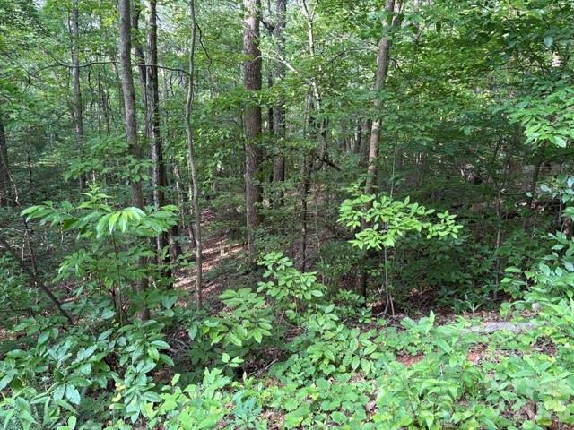 00 Cardinal Circle Property Photo 4