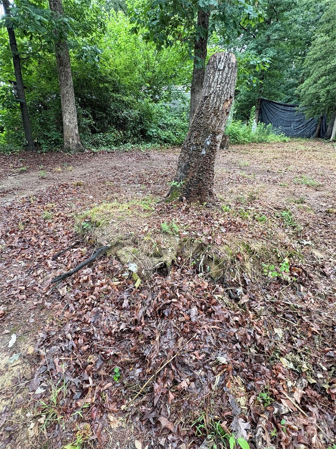 145 Paradise Drive Property Photo 18