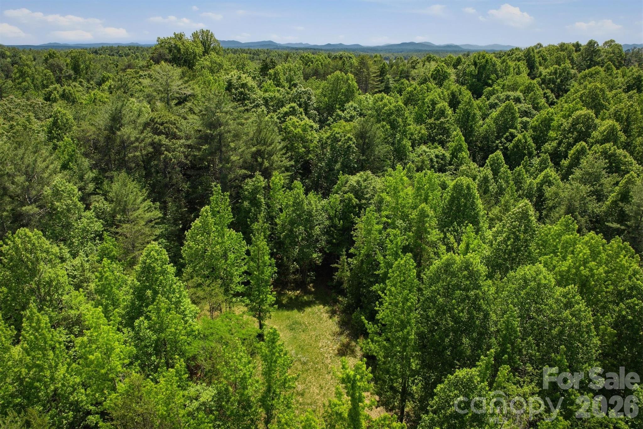0 Nc 126 Road Property Photo 5