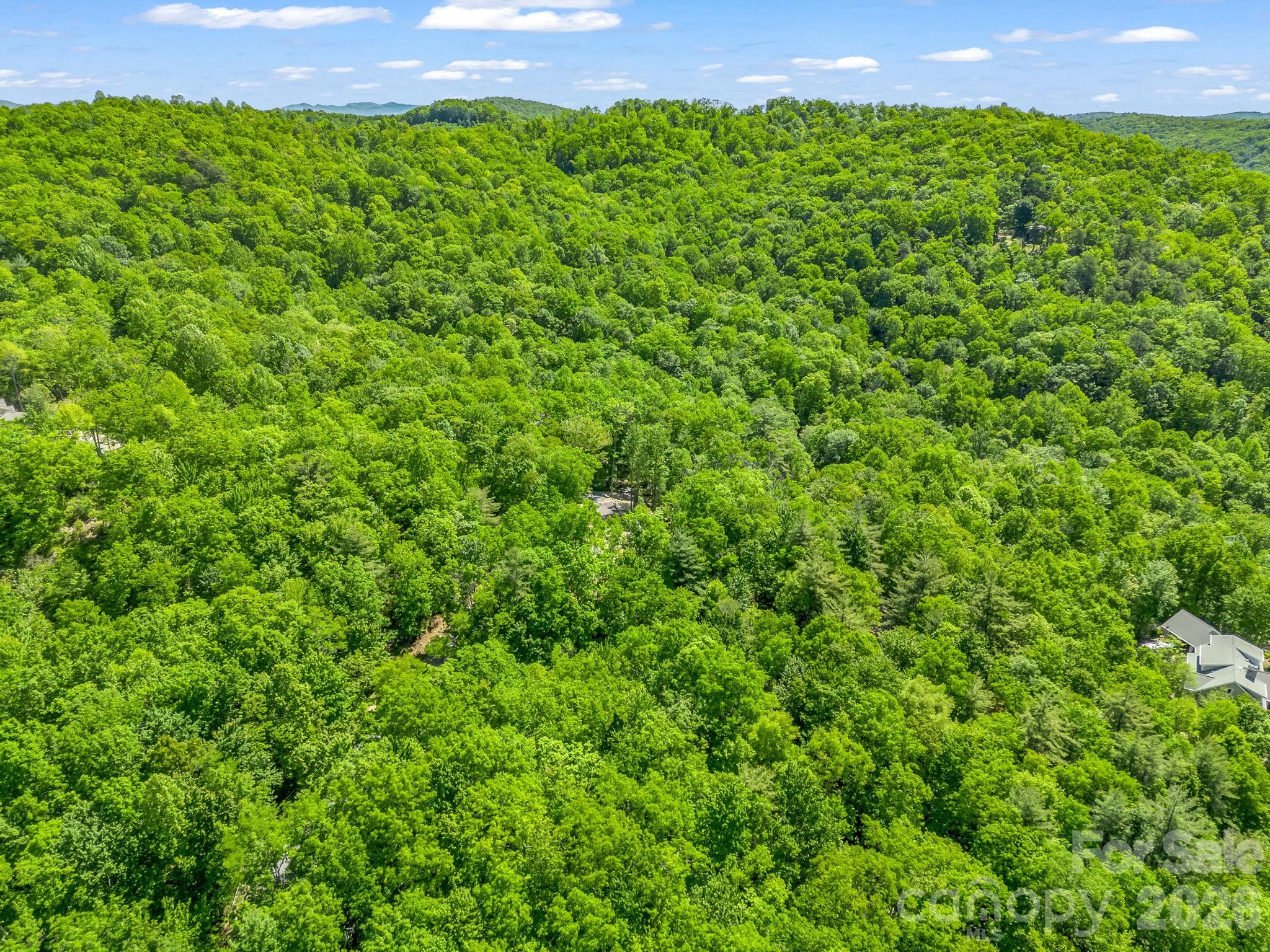 352 Big Hill Road Property Photo 16