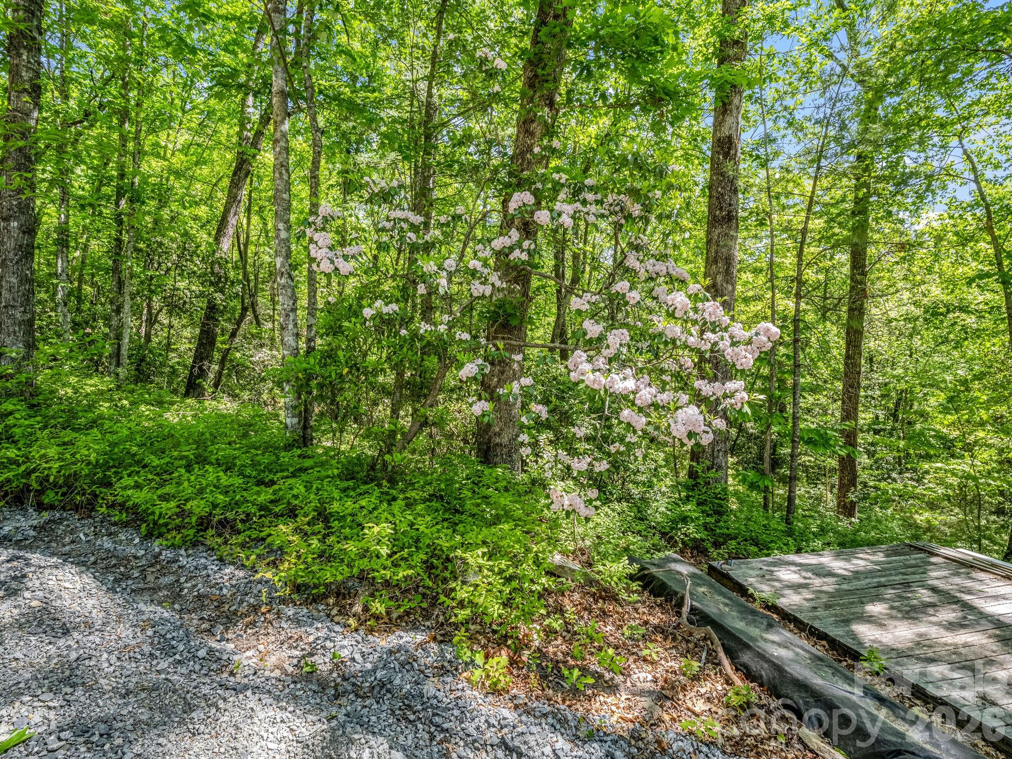 352 Big Hill Road Property Photo 30