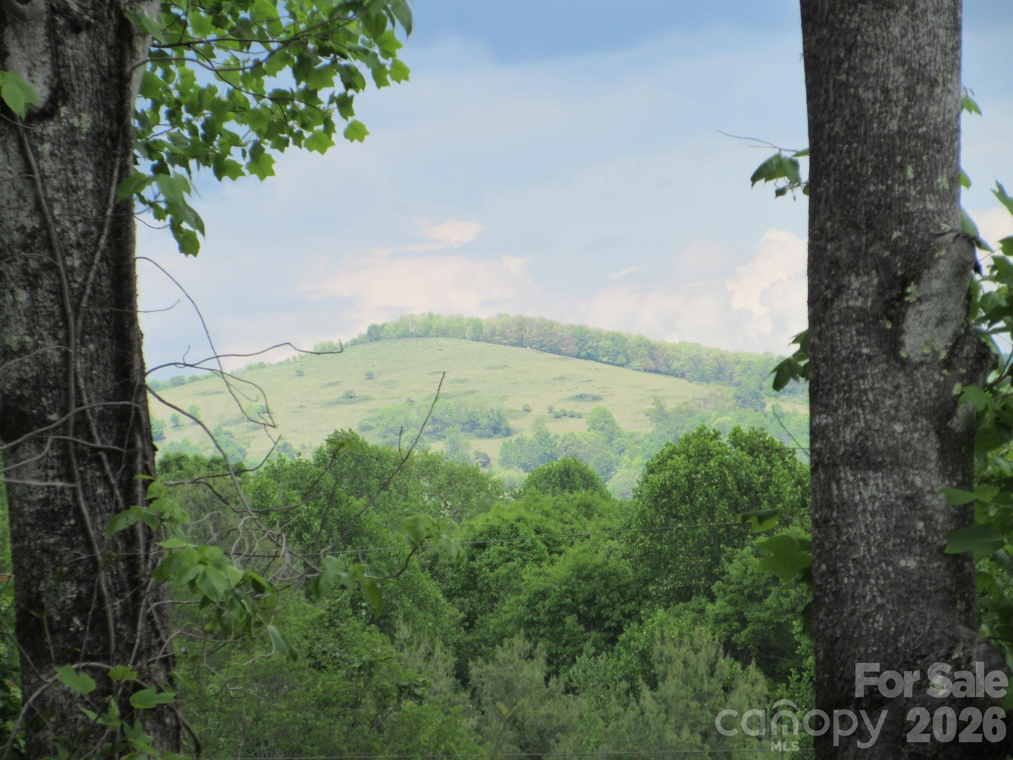 0 Rocky Top Trail 4 Property Photo 1