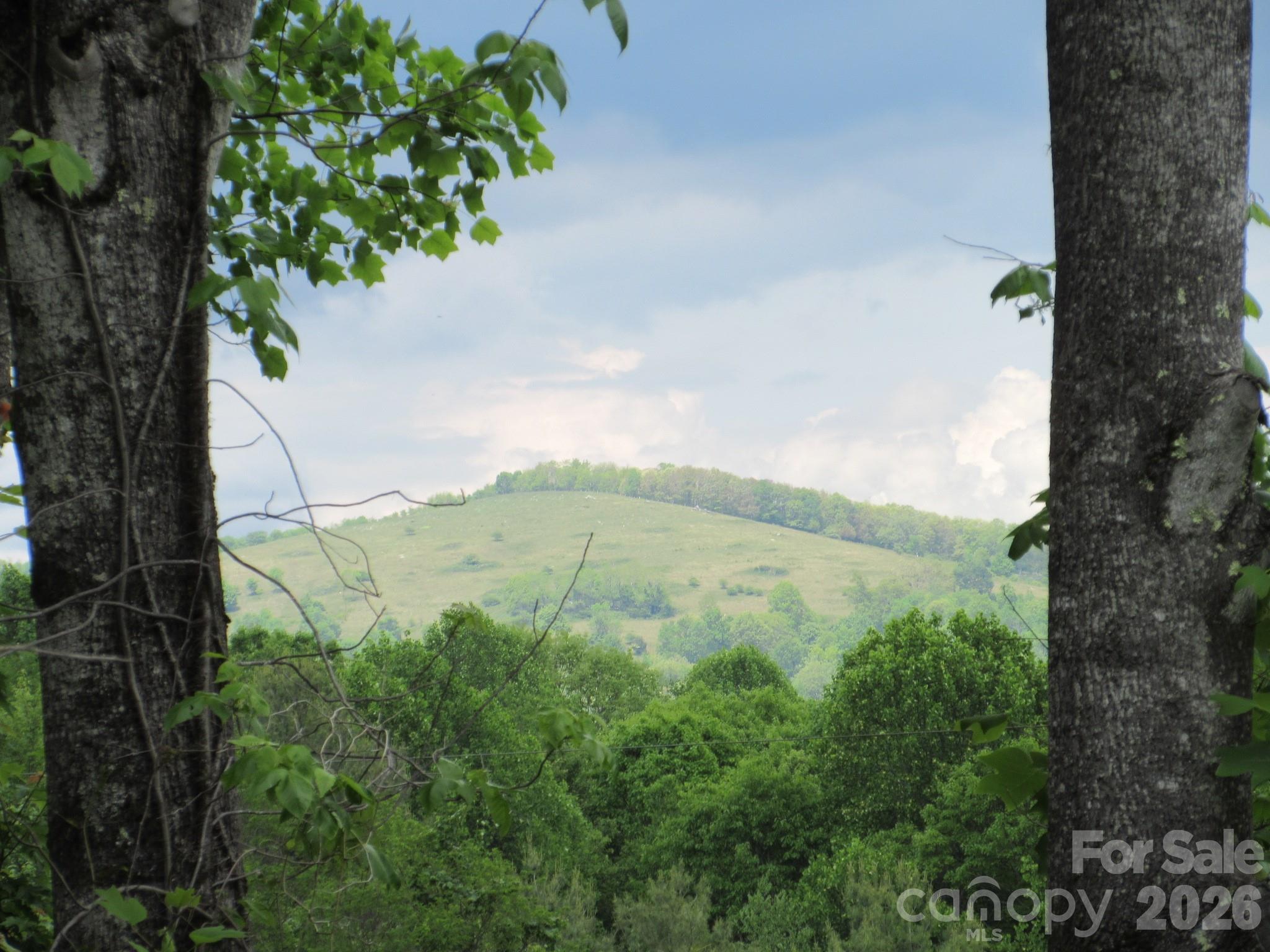 0 Rocky Top Trail 4 Property Photo 2
