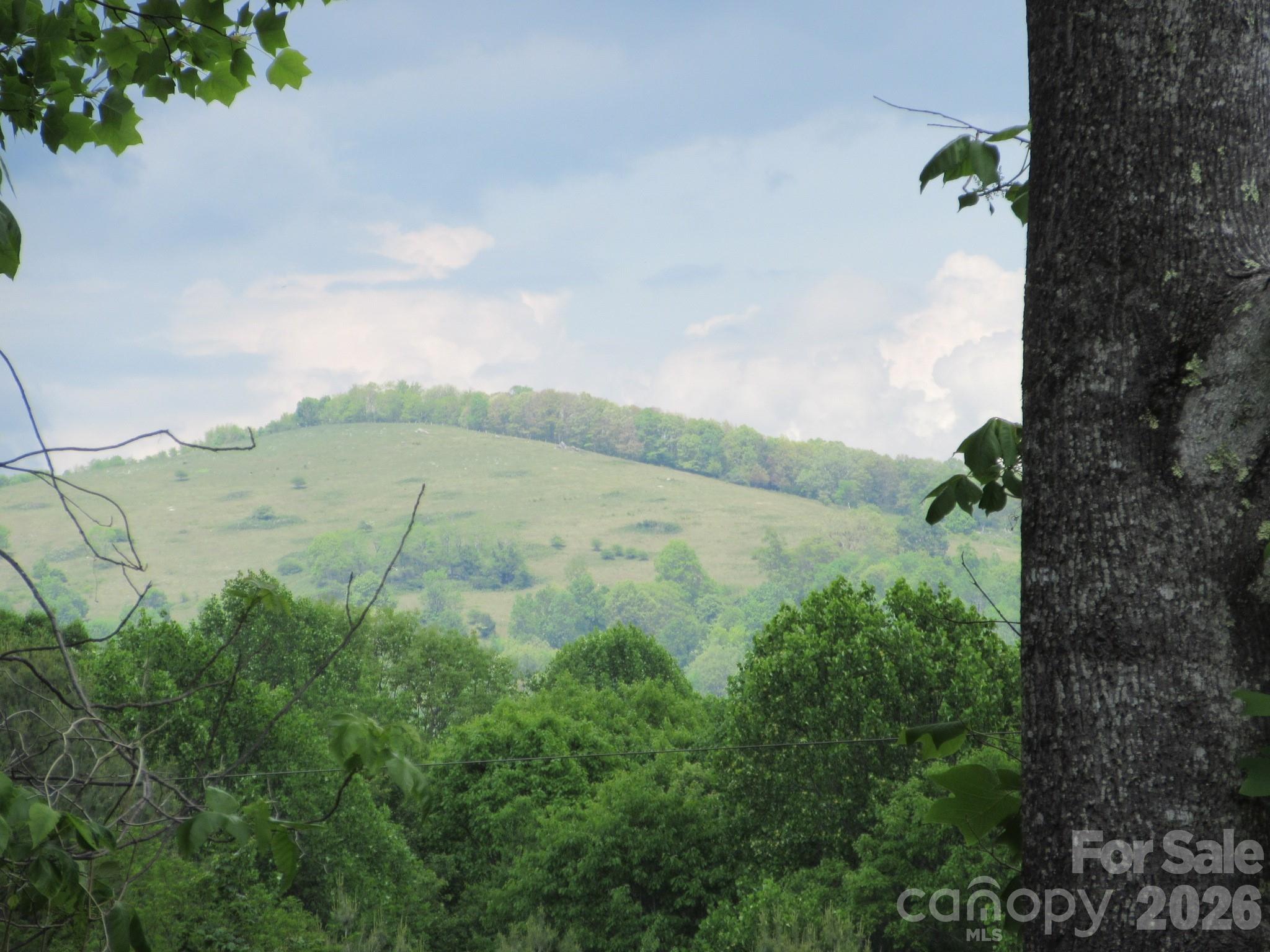 0 Rocky Top Trail 4 Property Photo 3
