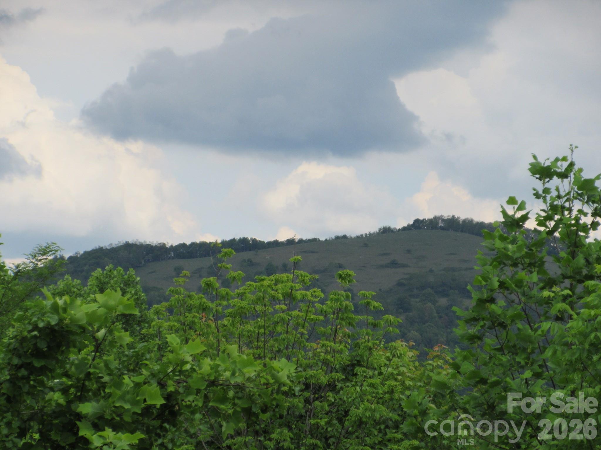 0 Rocky Top Trail 4 Property Photo 4