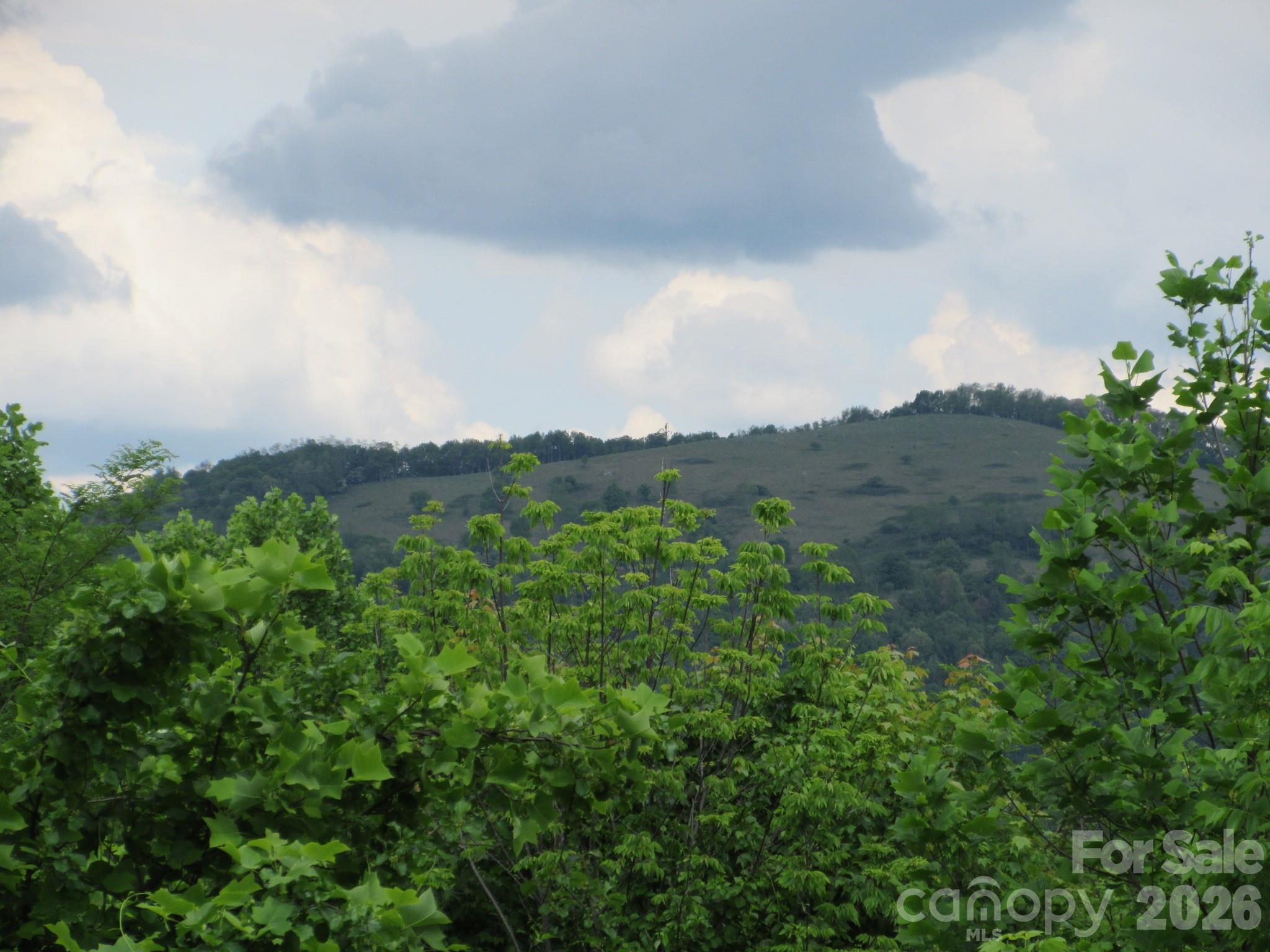 0 Rocky Top Trail 4 Property Photo 5