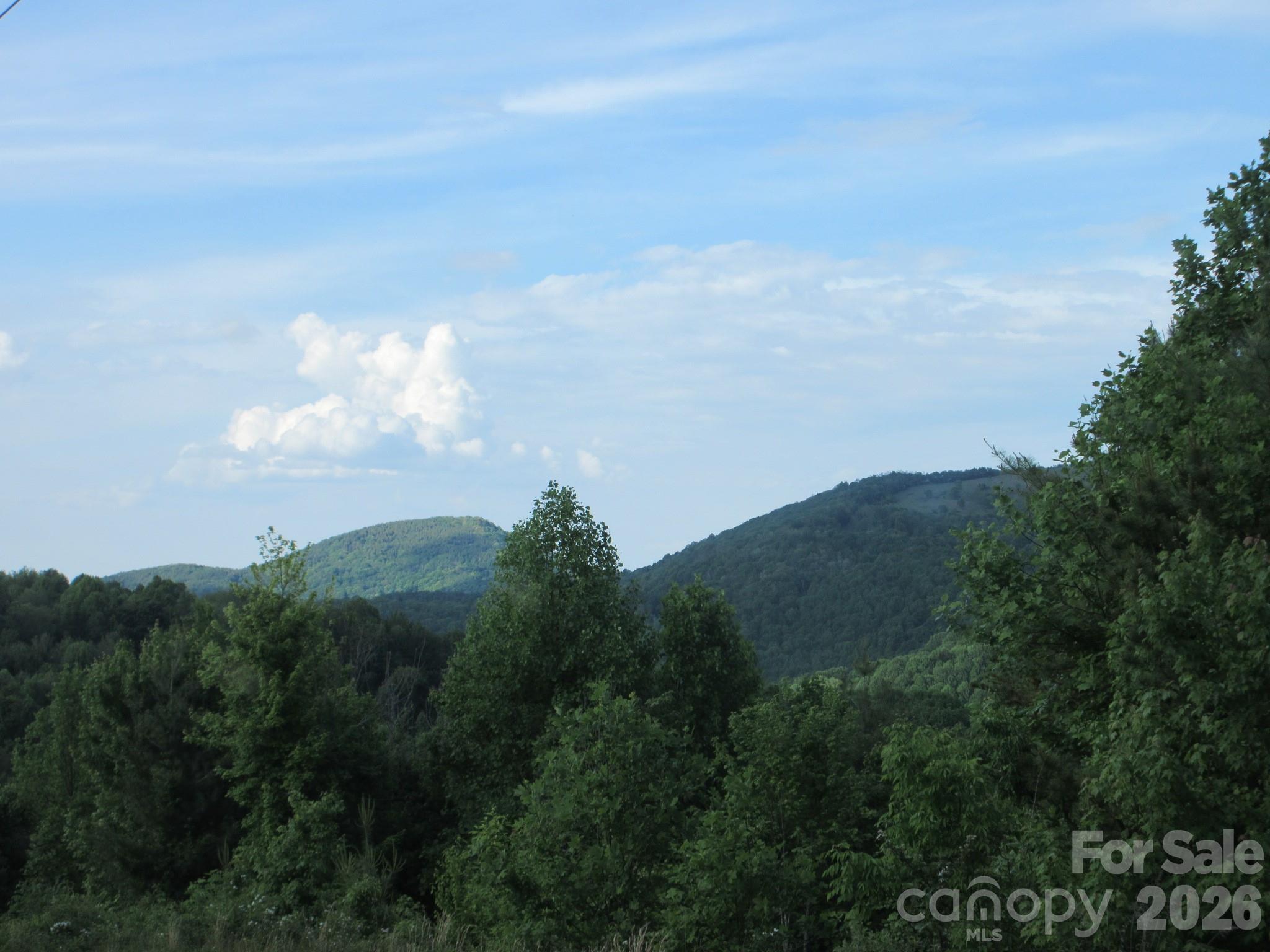 0 Rocky Top Trail 4 Property Photo 6