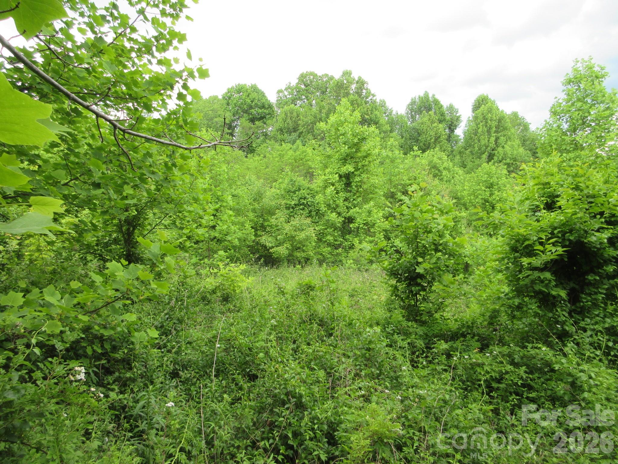 0 Rocky Top Trail 4 Property Photo 7