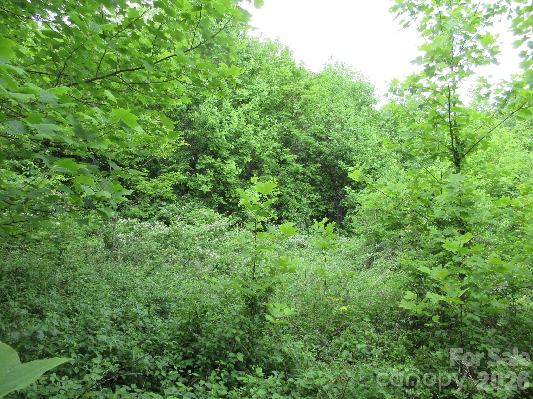 0 Rocky Top Trail 4 Property Photo 8