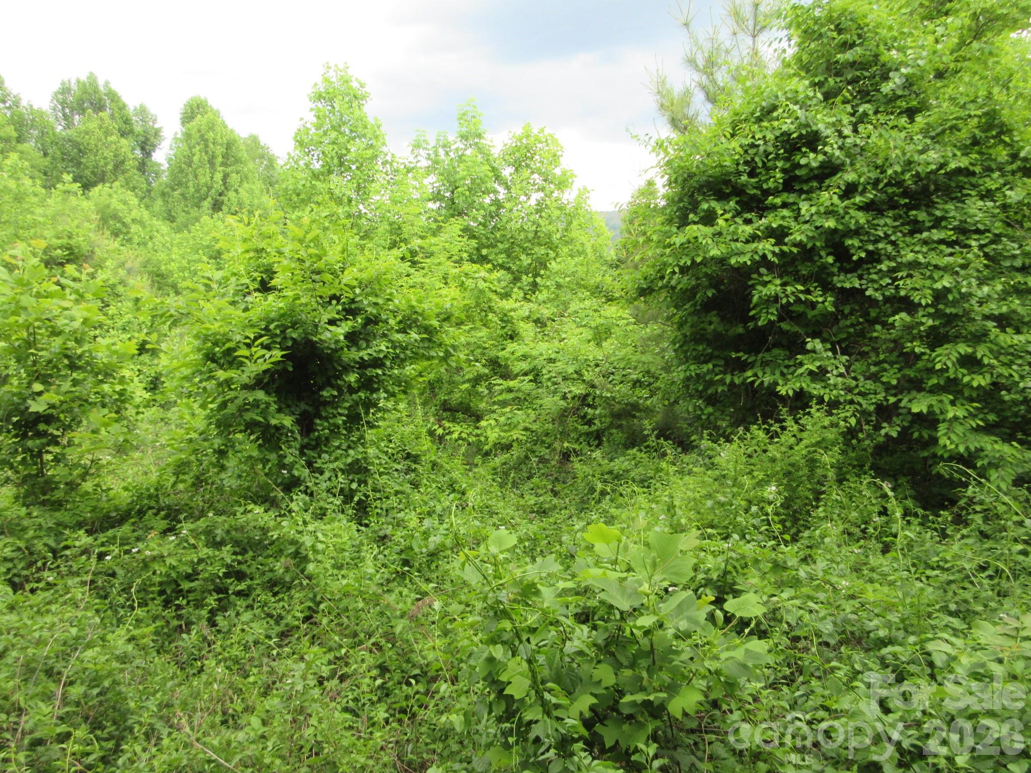 0 Rocky Top Trail 4 Property Photo 9