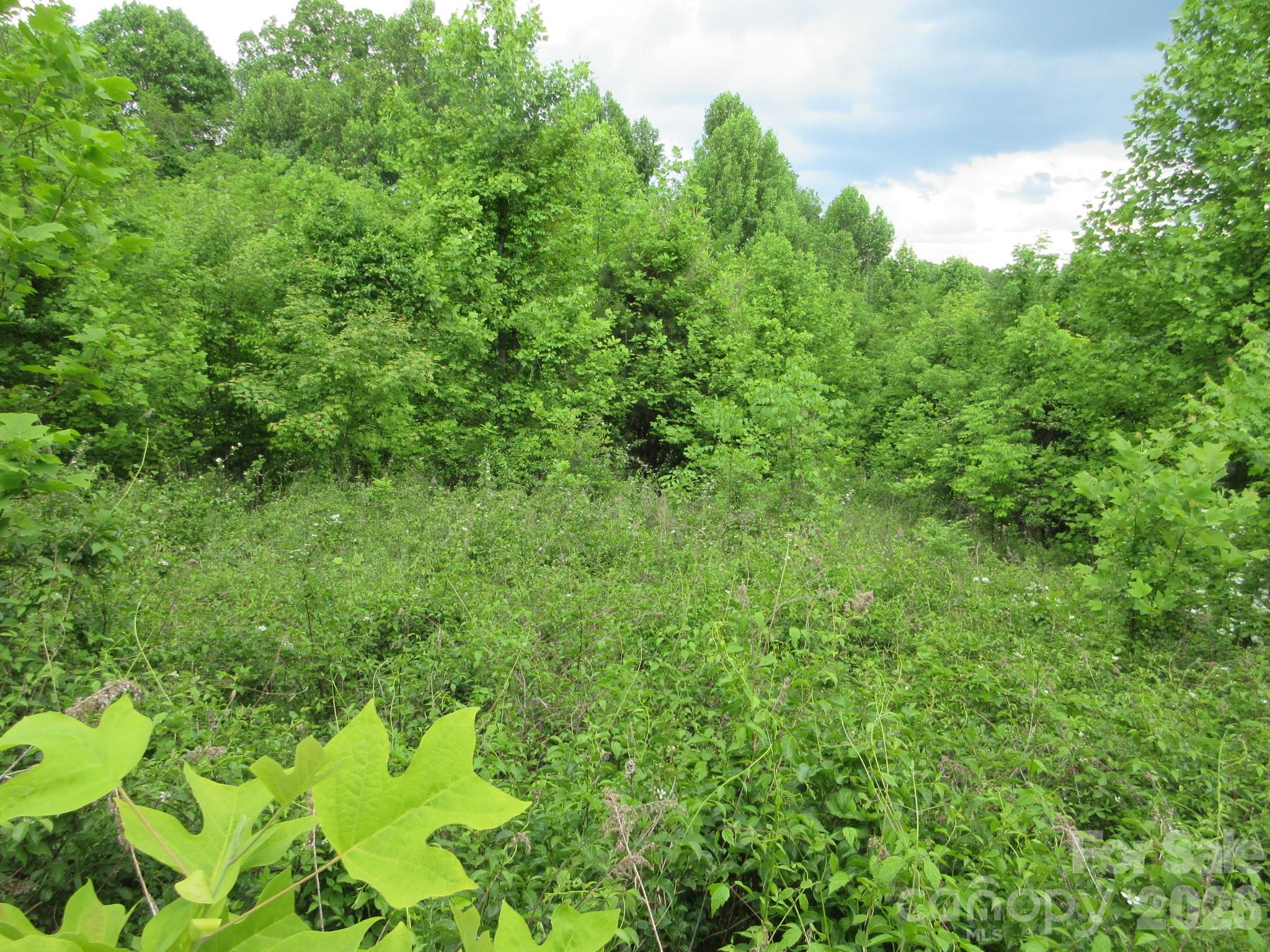 0 Rocky Top Trail 4 Property Photo 10