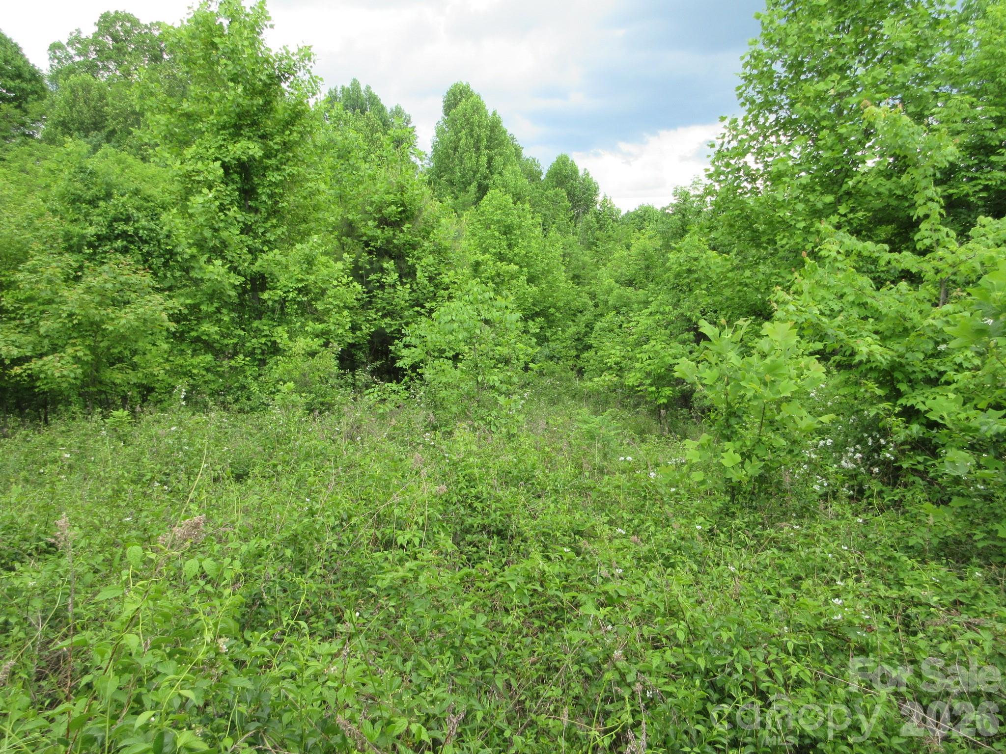 0 Rocky Top Trail 4 Property Photo 11