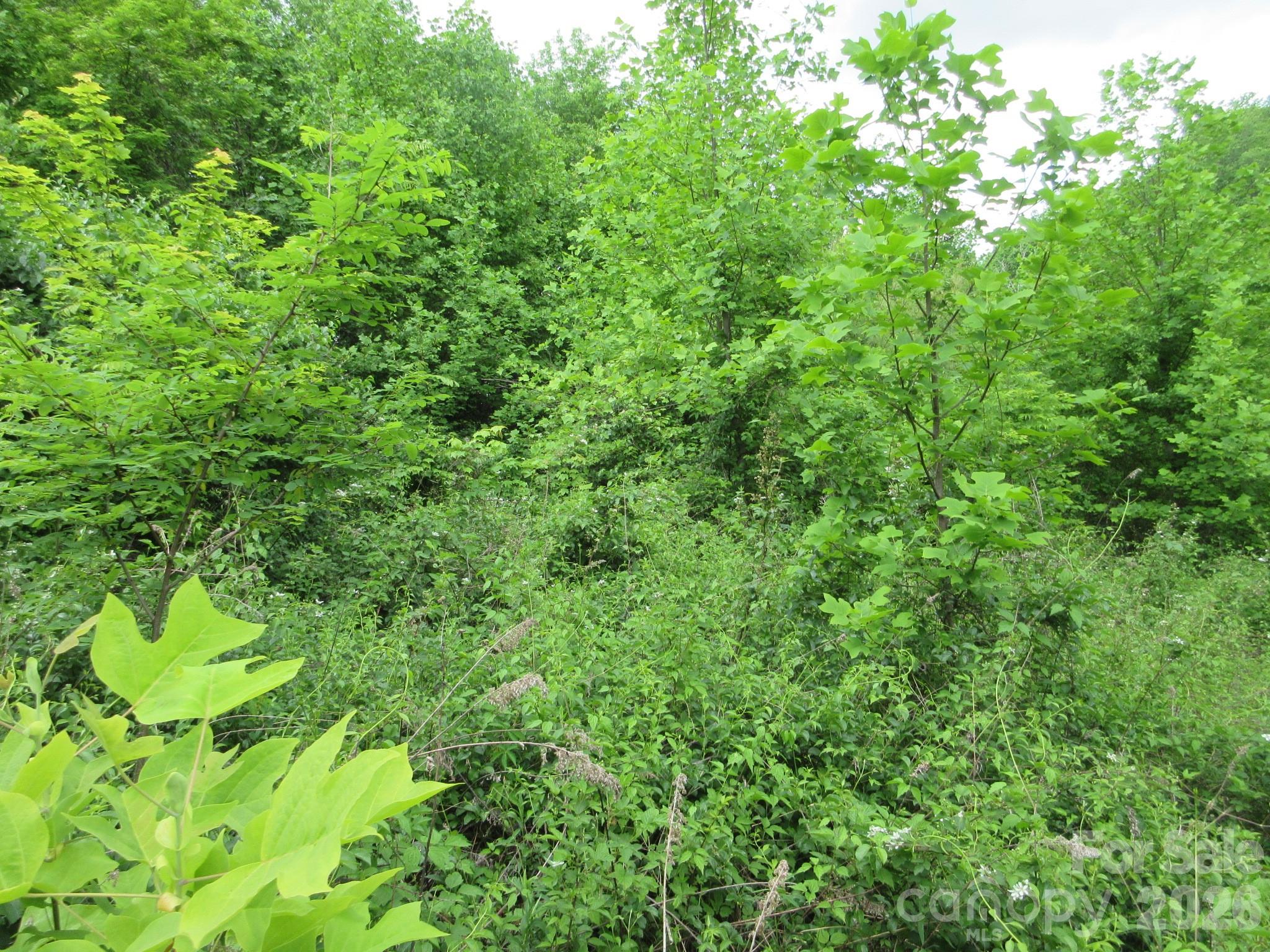 0 Rocky Top Trail 4 Property Photo 12
