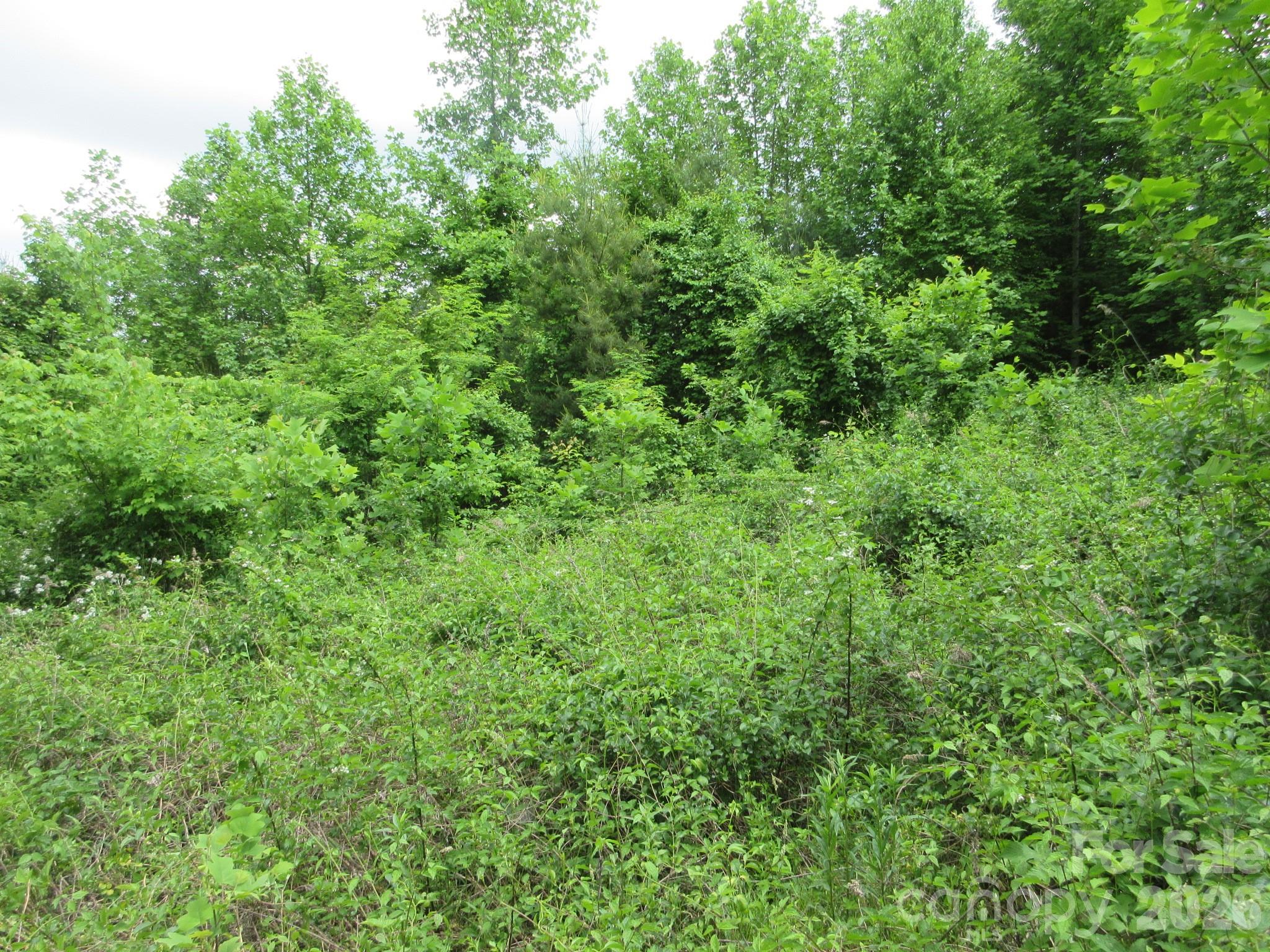 0 Rocky Top Trail 4 Property Photo 13