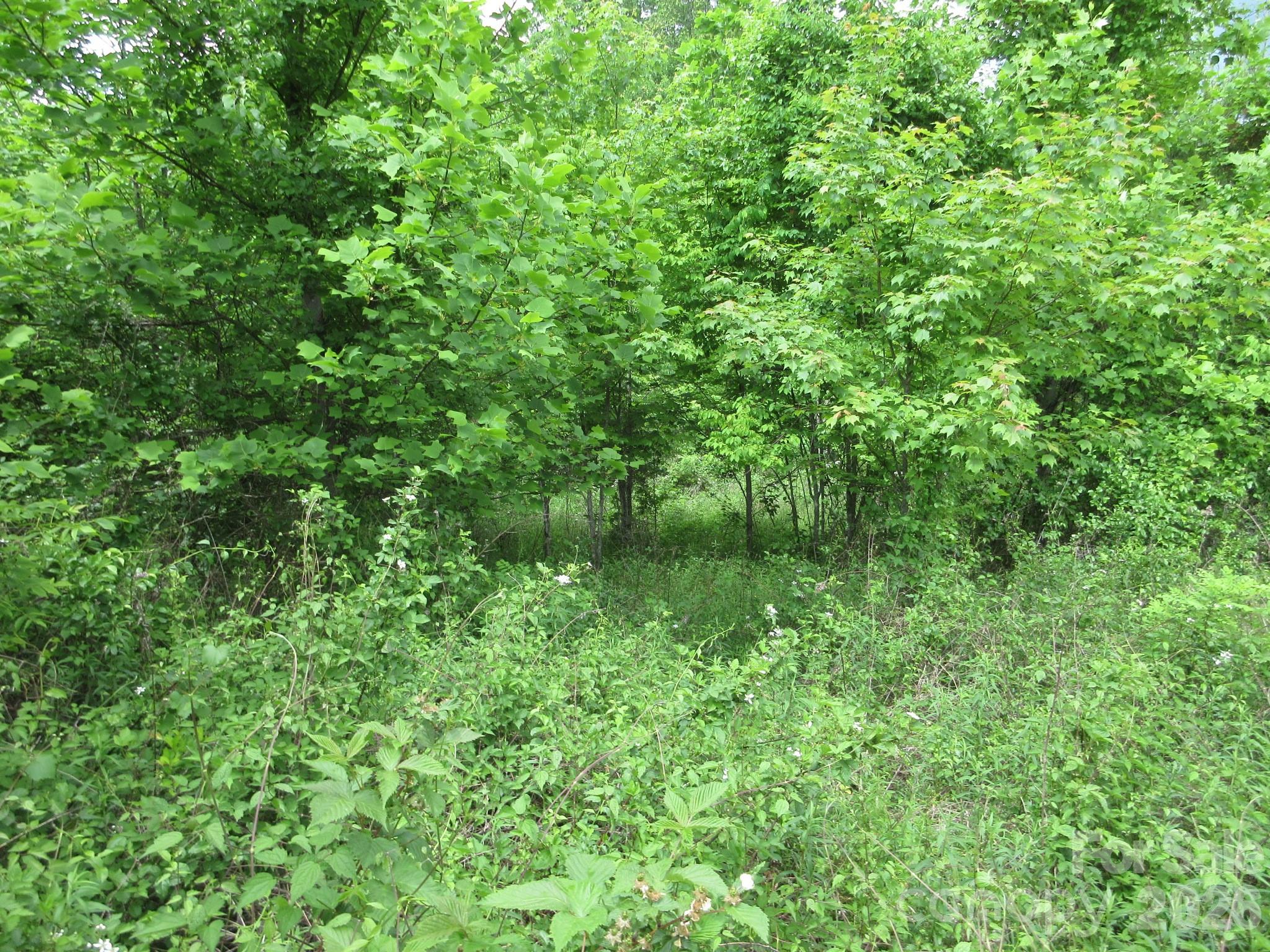 0 Rocky Top Trail 4 Property Photo 16