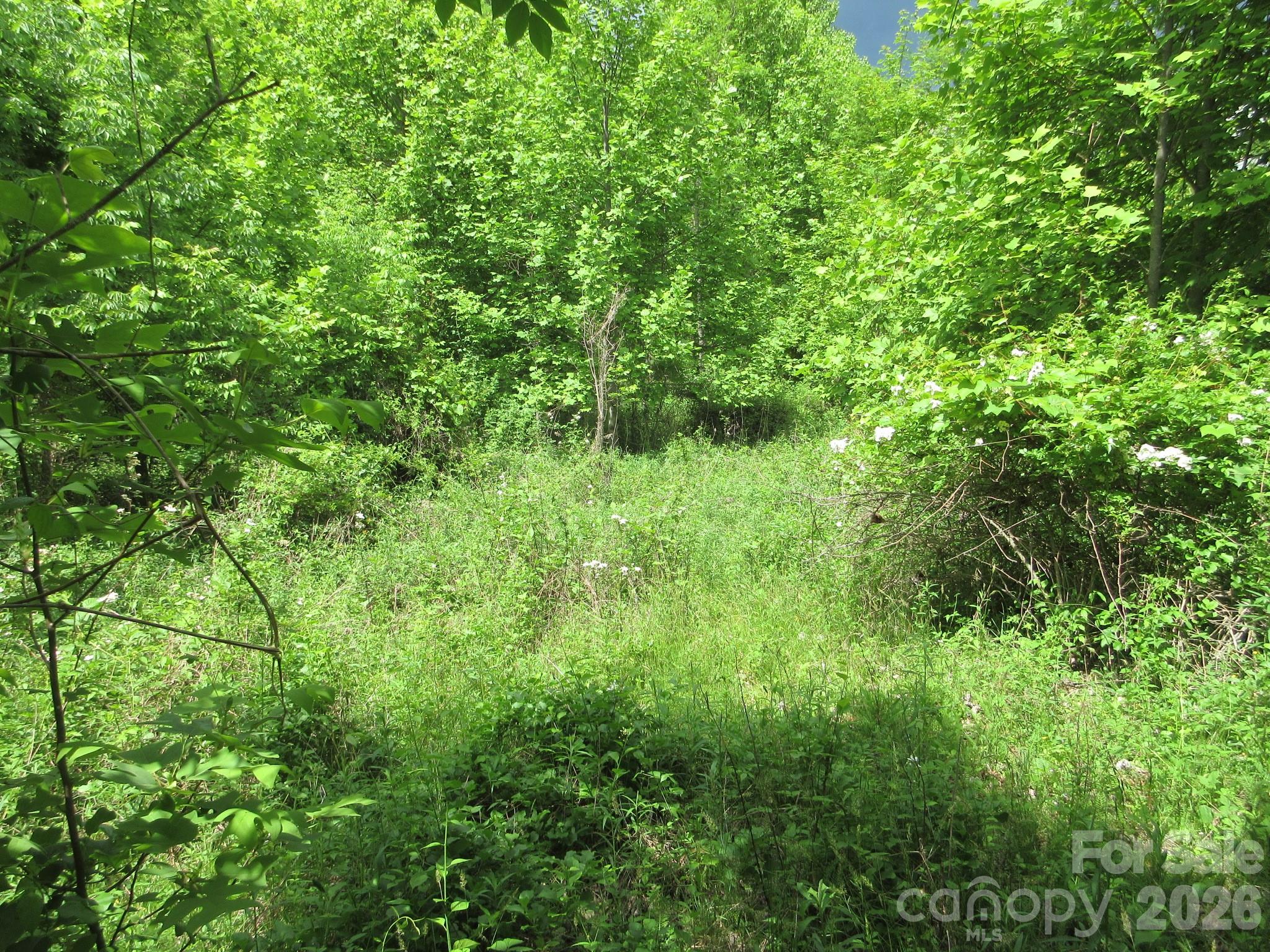0 Rocky Top Trail 4 Property Photo 17