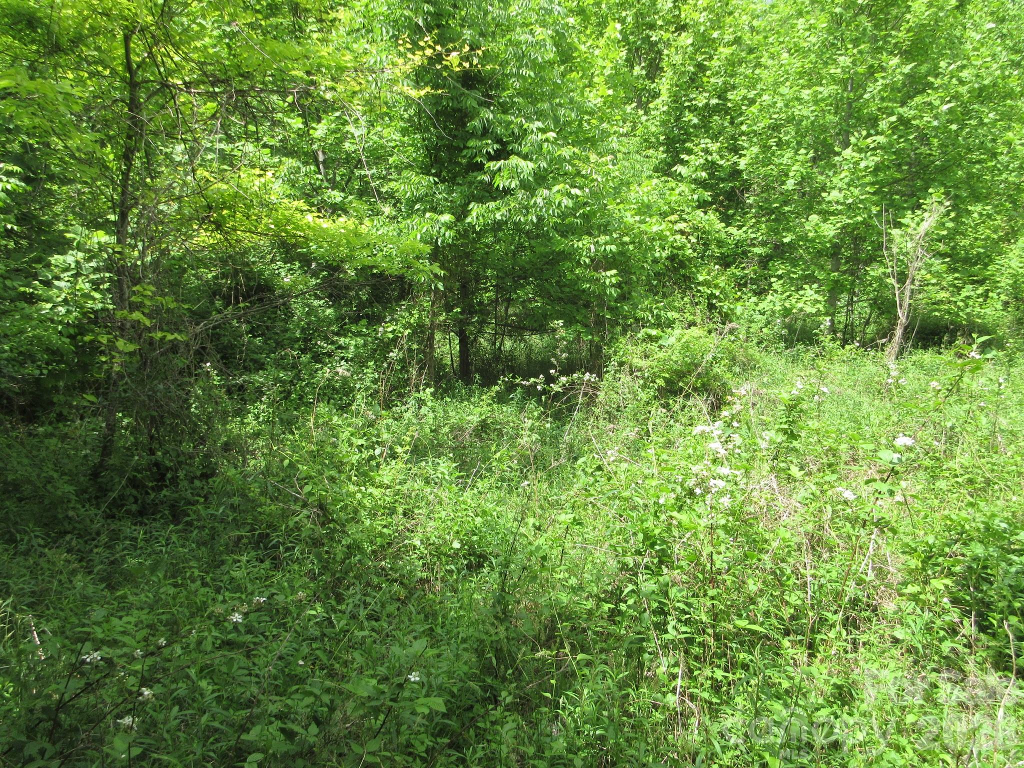 0 Rocky Top Trail 4 Property Photo 18