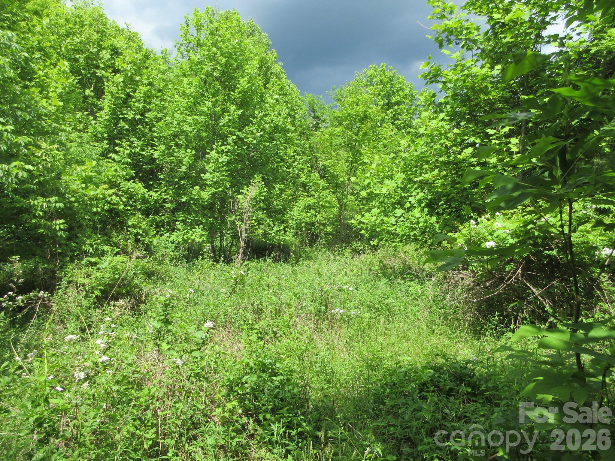 0 Rocky Top Trail 4 Property Photo 19