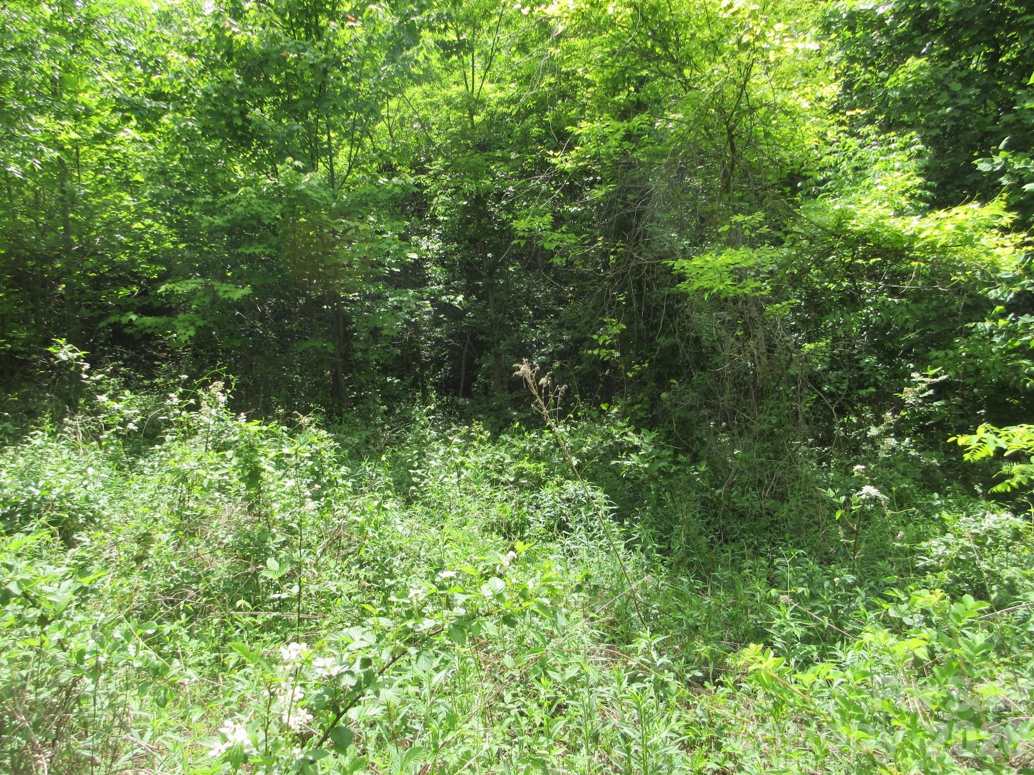 0 Rocky Top Trail 4 Property Photo 20