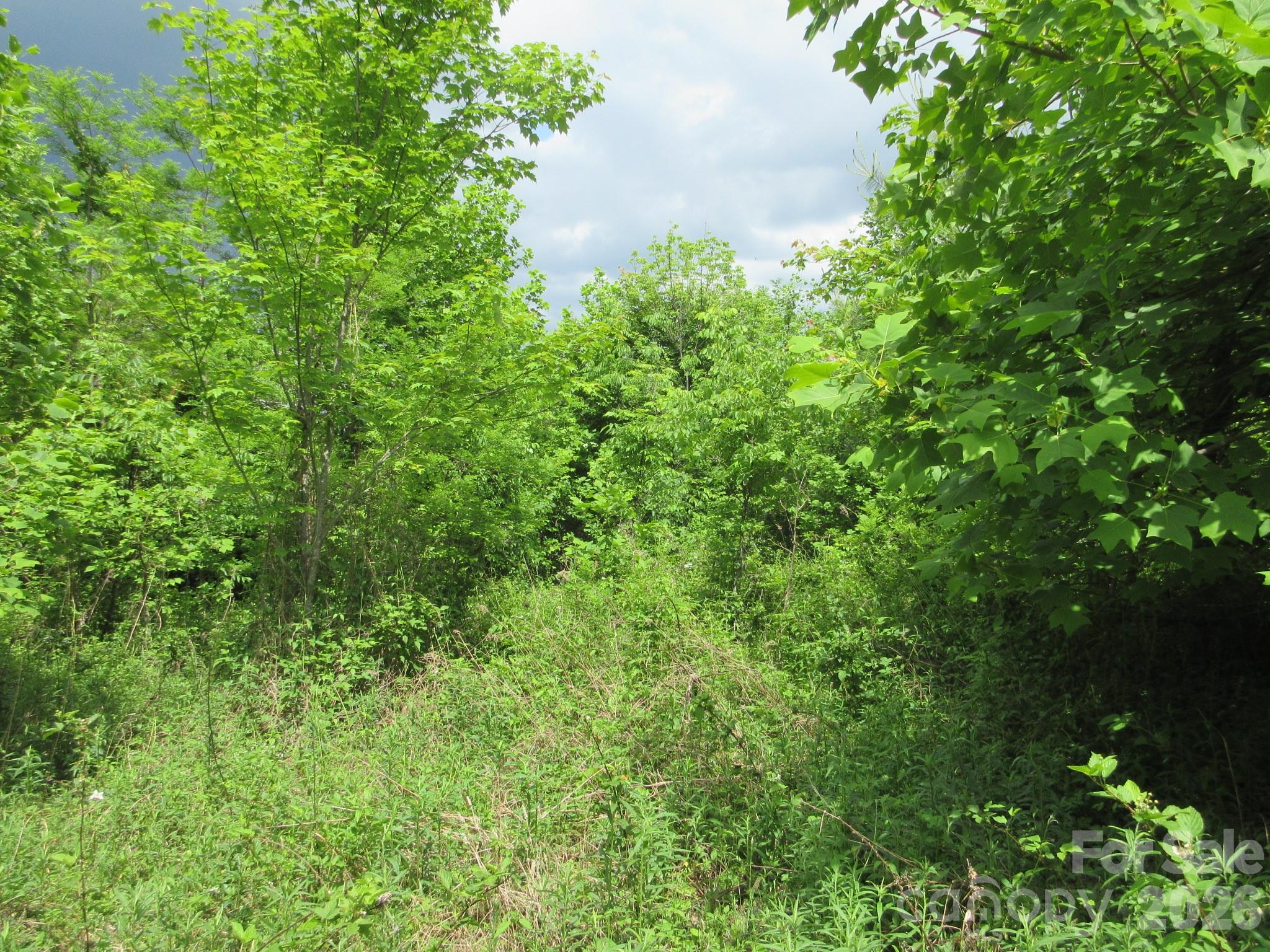 0 Rocky Top Trail 4 Property Photo 21