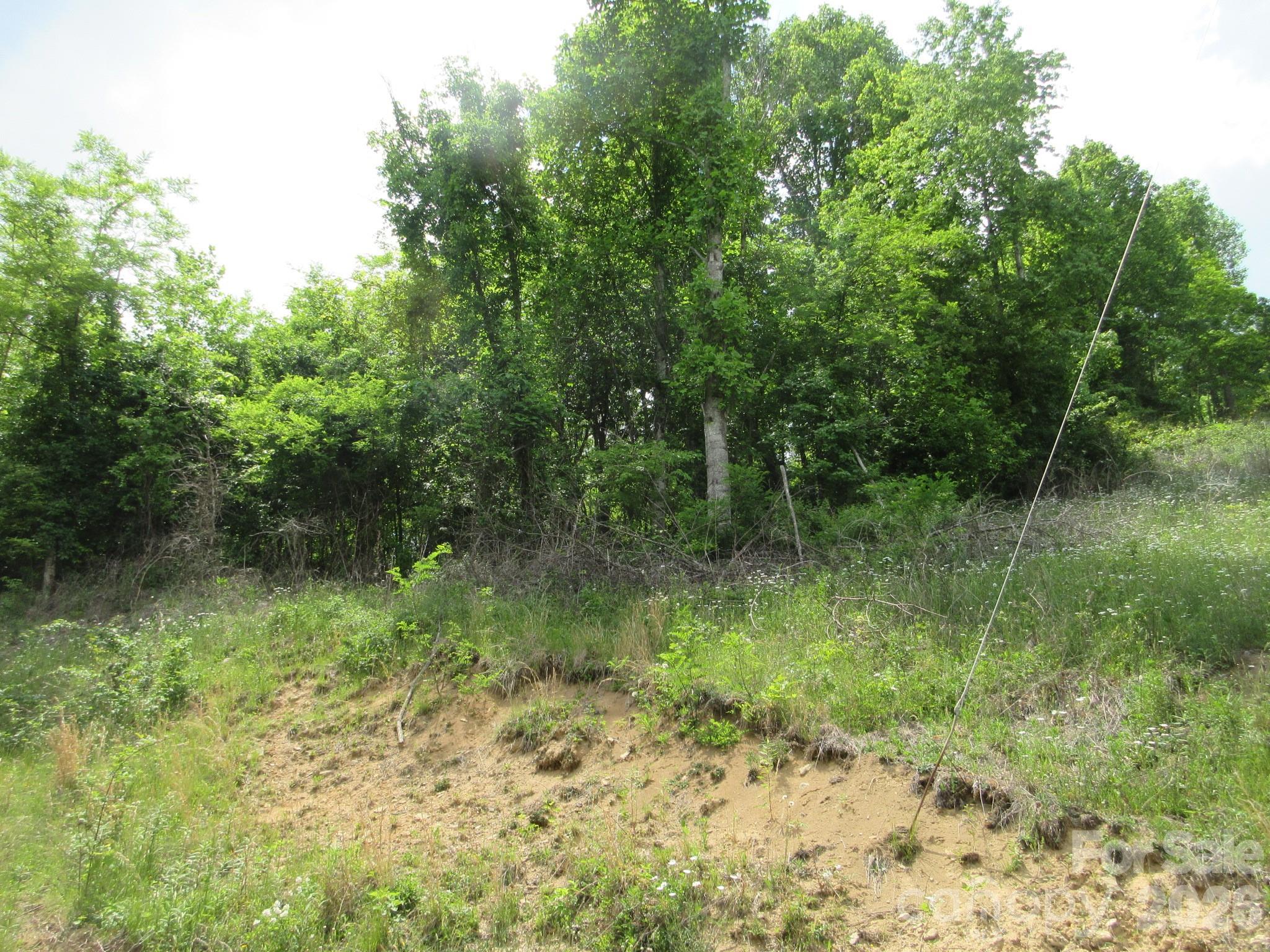 0 Rocky Top Trail 4 Property Photo 24