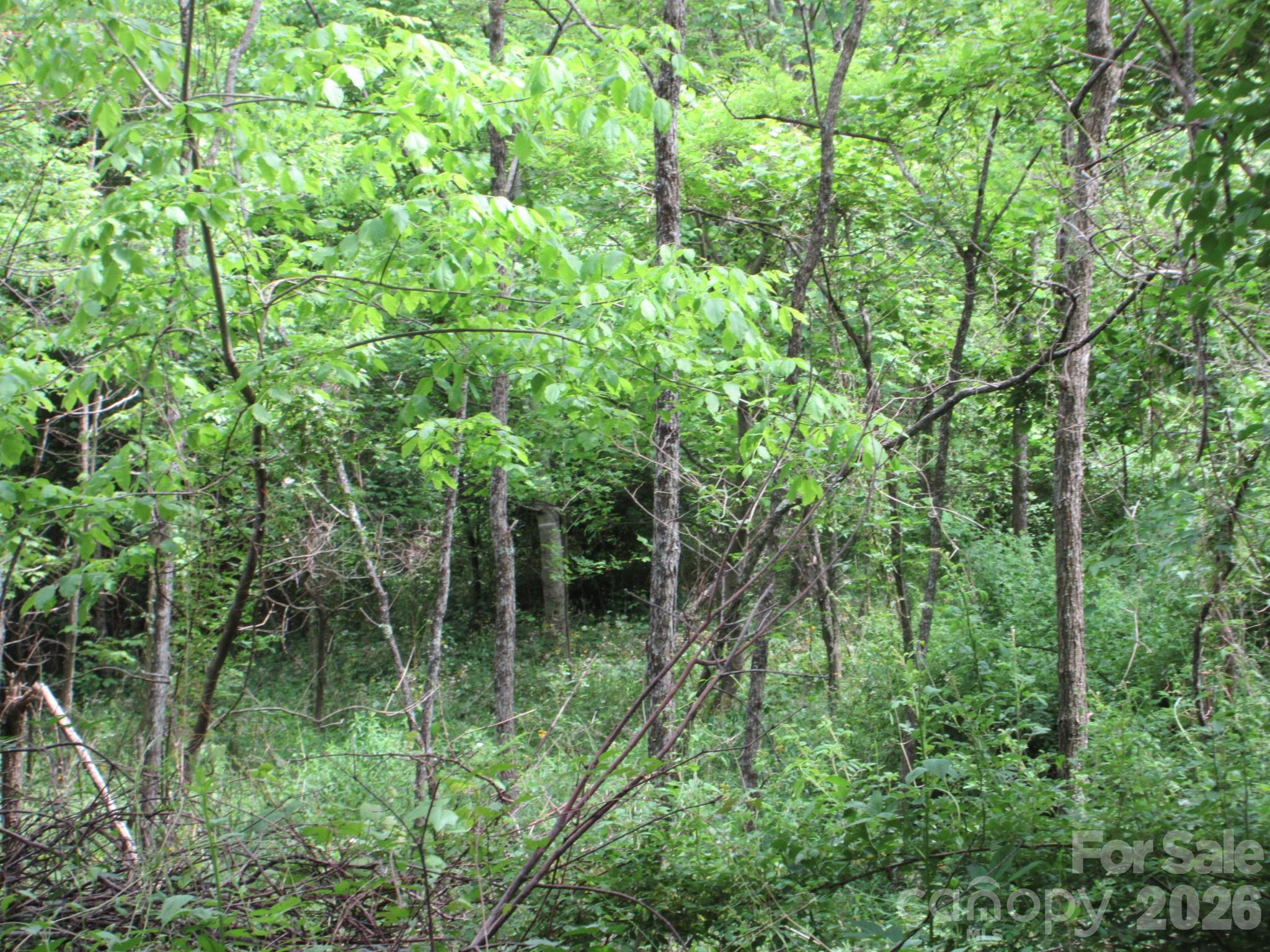 0 Rocky Top Trail 4 Property Photo 30