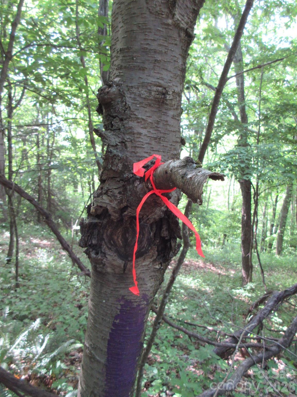 0 Rocky Top Trail 4 Property Photo 31