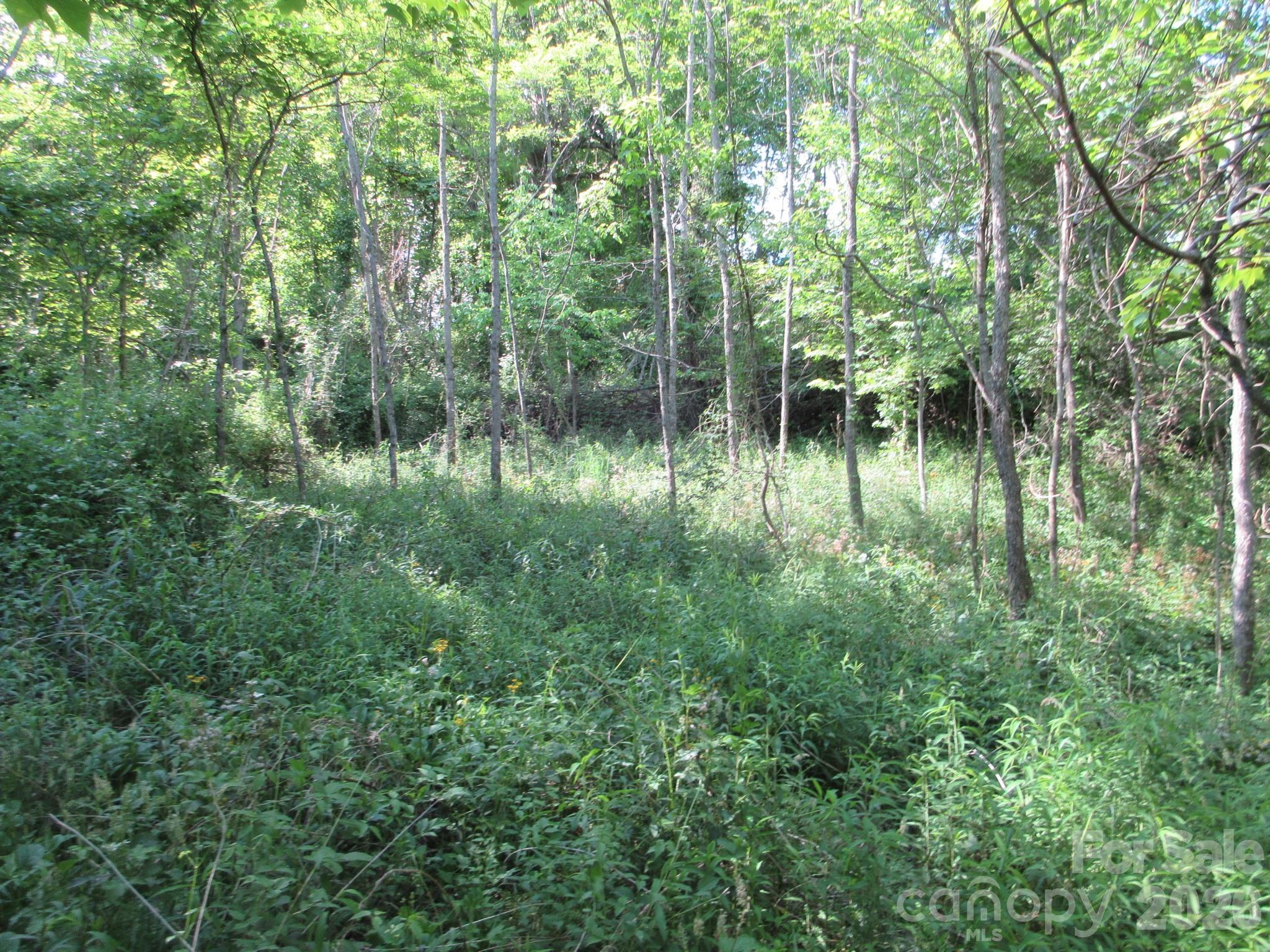 0 Rocky Top Trail 4 Property Photo 32