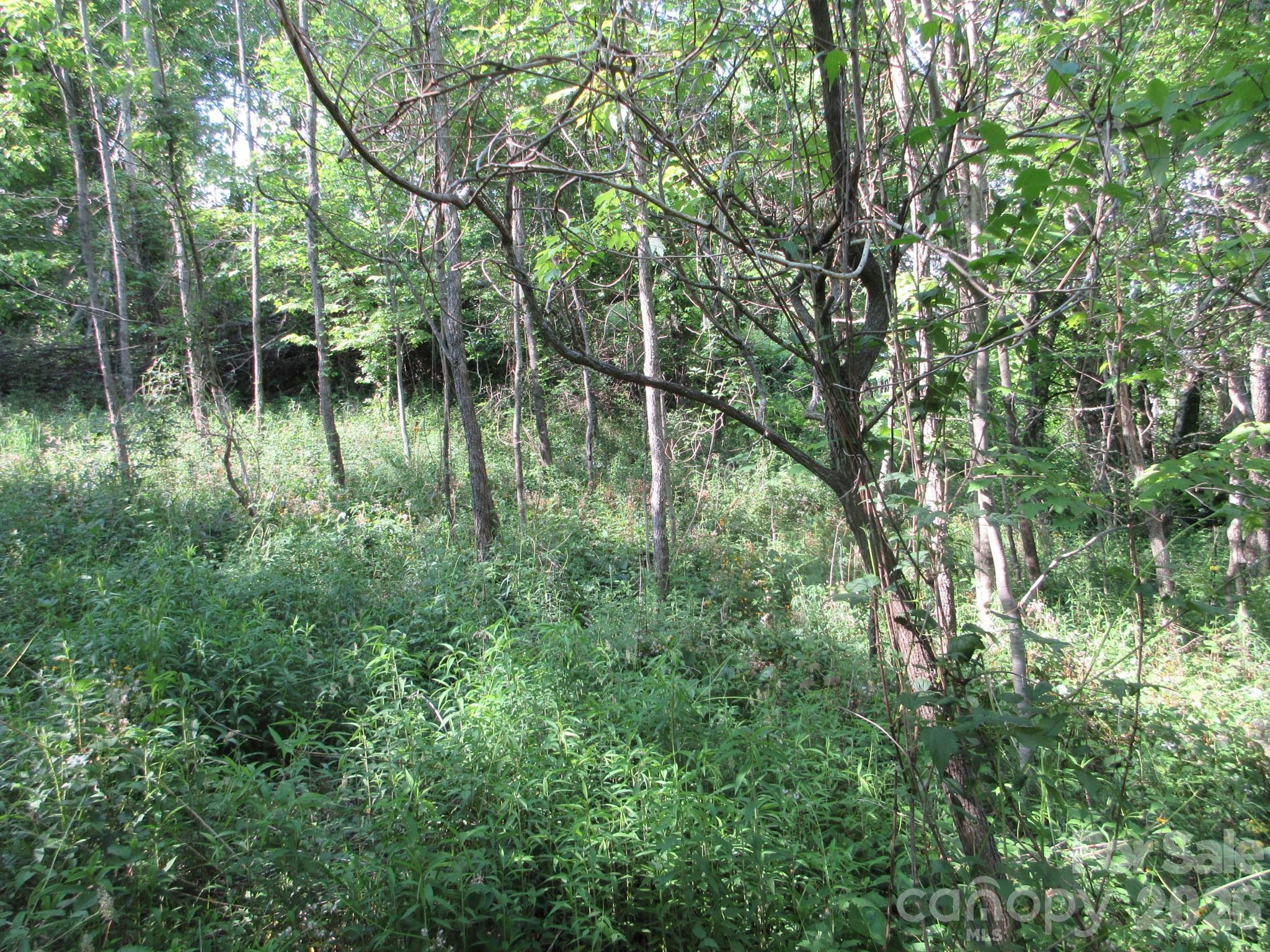 0 Rocky Top Trail 4 Property Photo 33