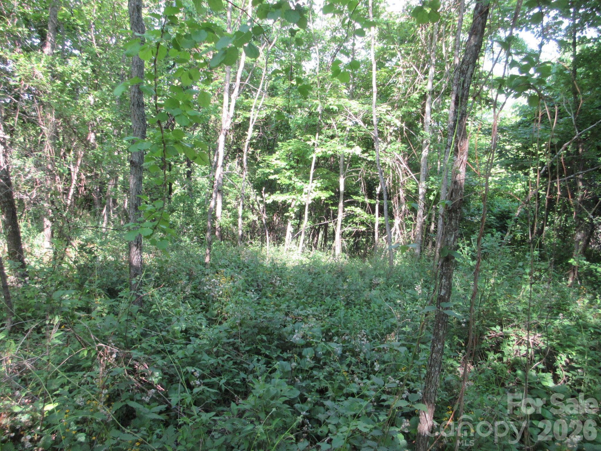0 Rocky Top Trail 4 Property Photo 34