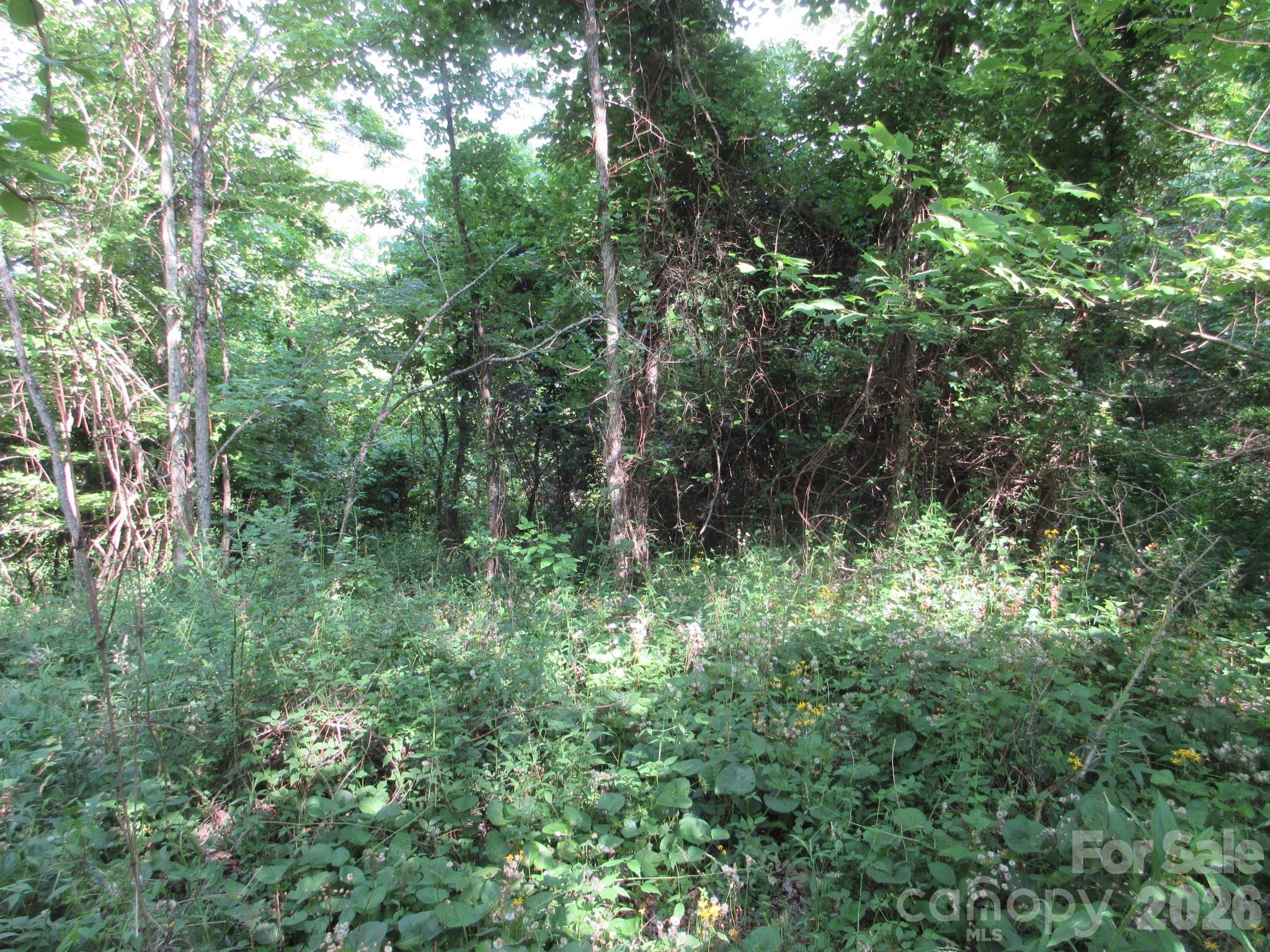0 Rocky Top Trail 4 Property Photo 35