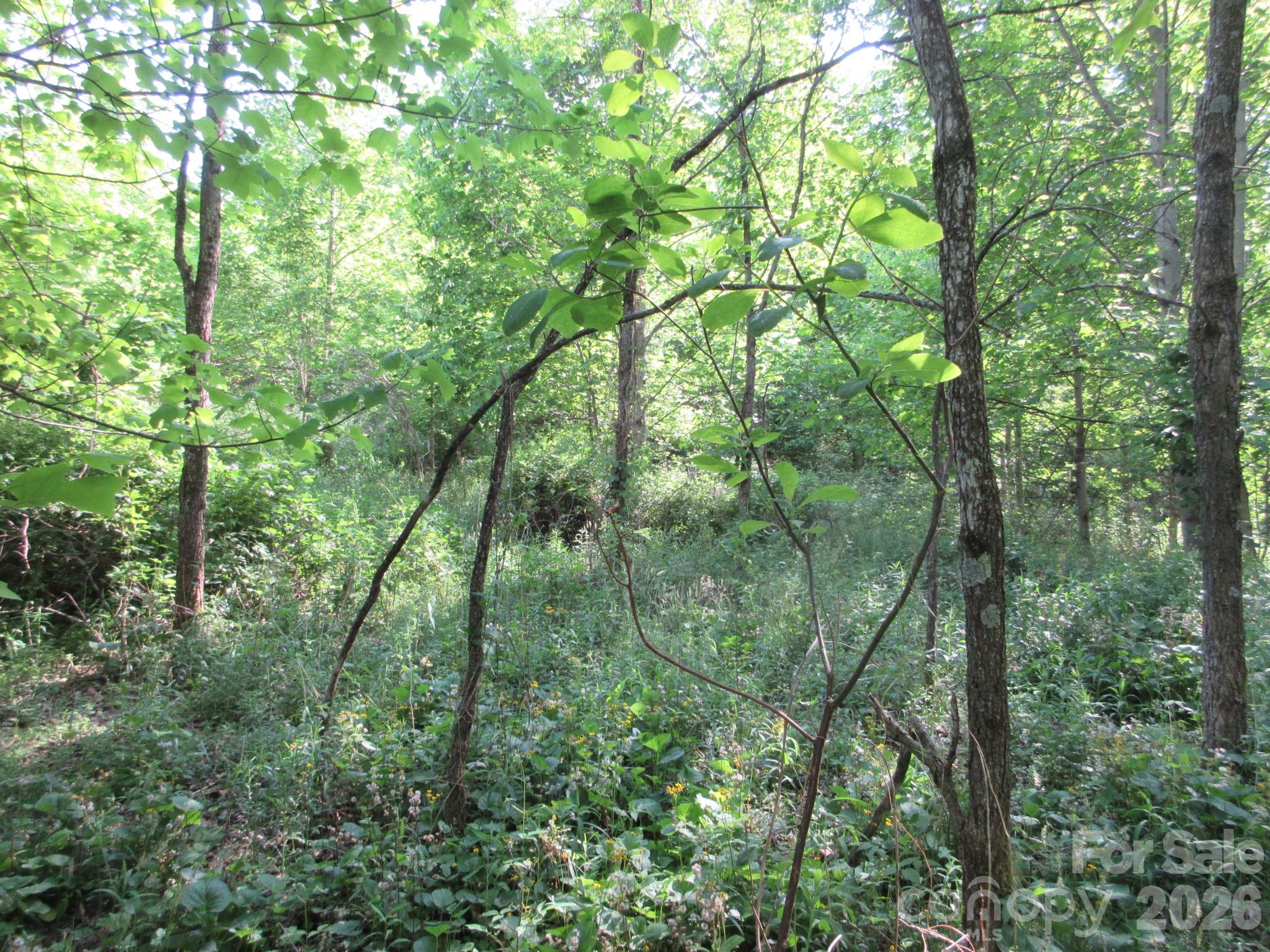 0 Rocky Top Trail 4 Property Photo 36