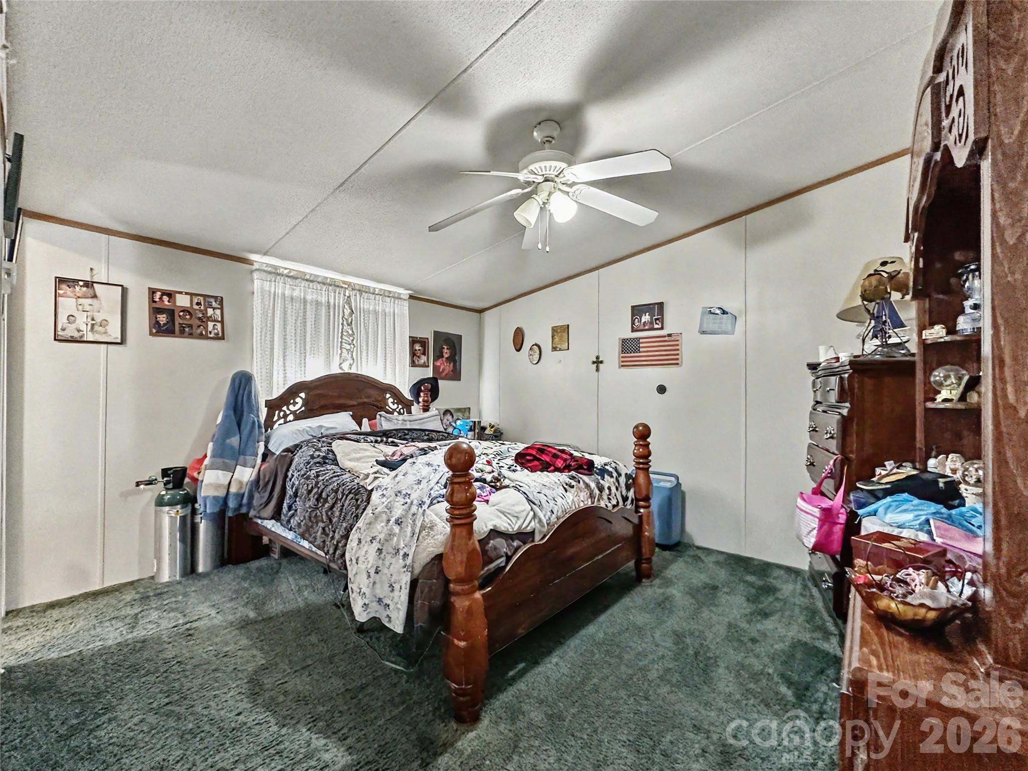 147 Arlie Loop Property Photo 23