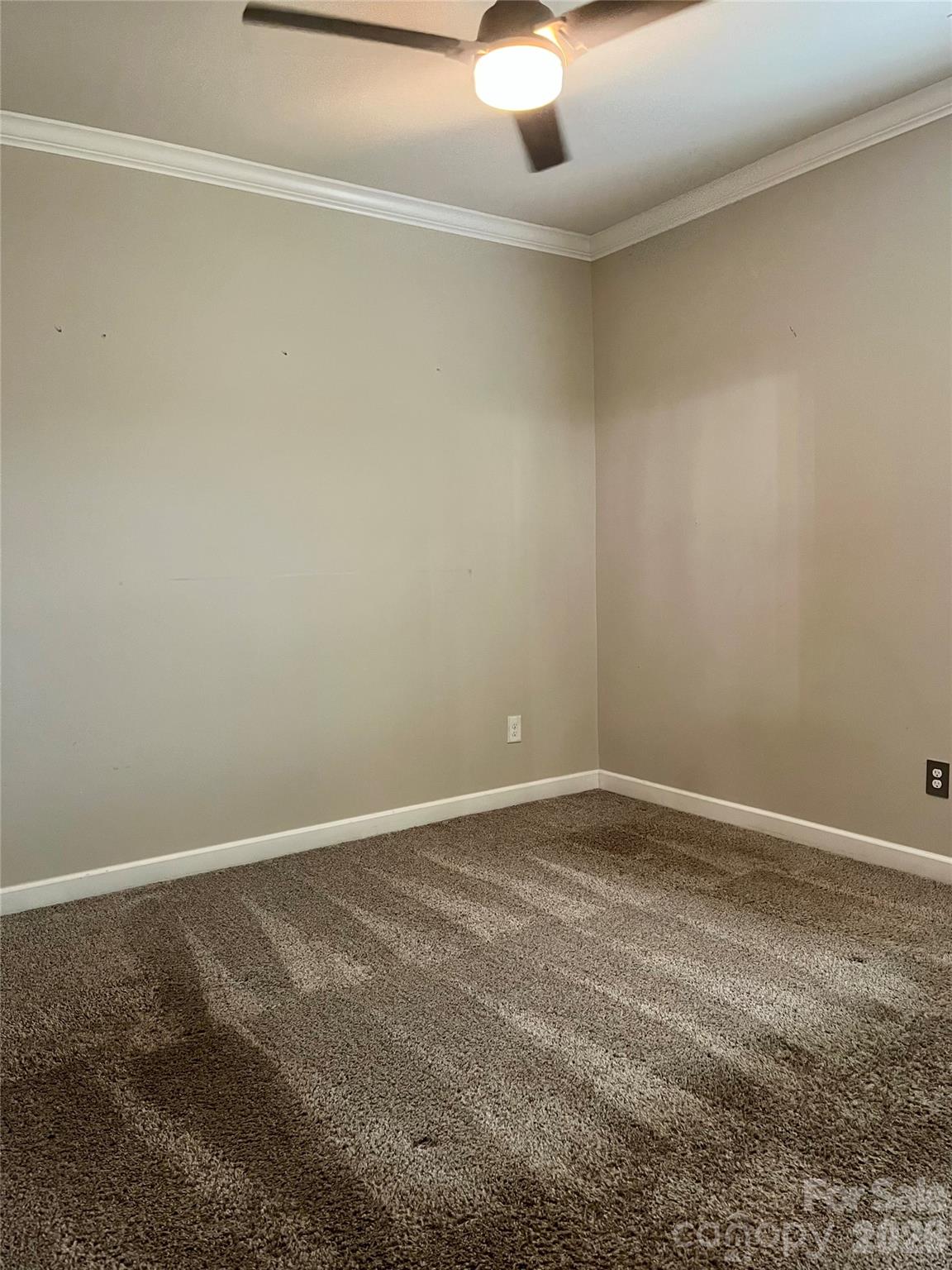 8807 Pennegrove Circle Property Photo 14