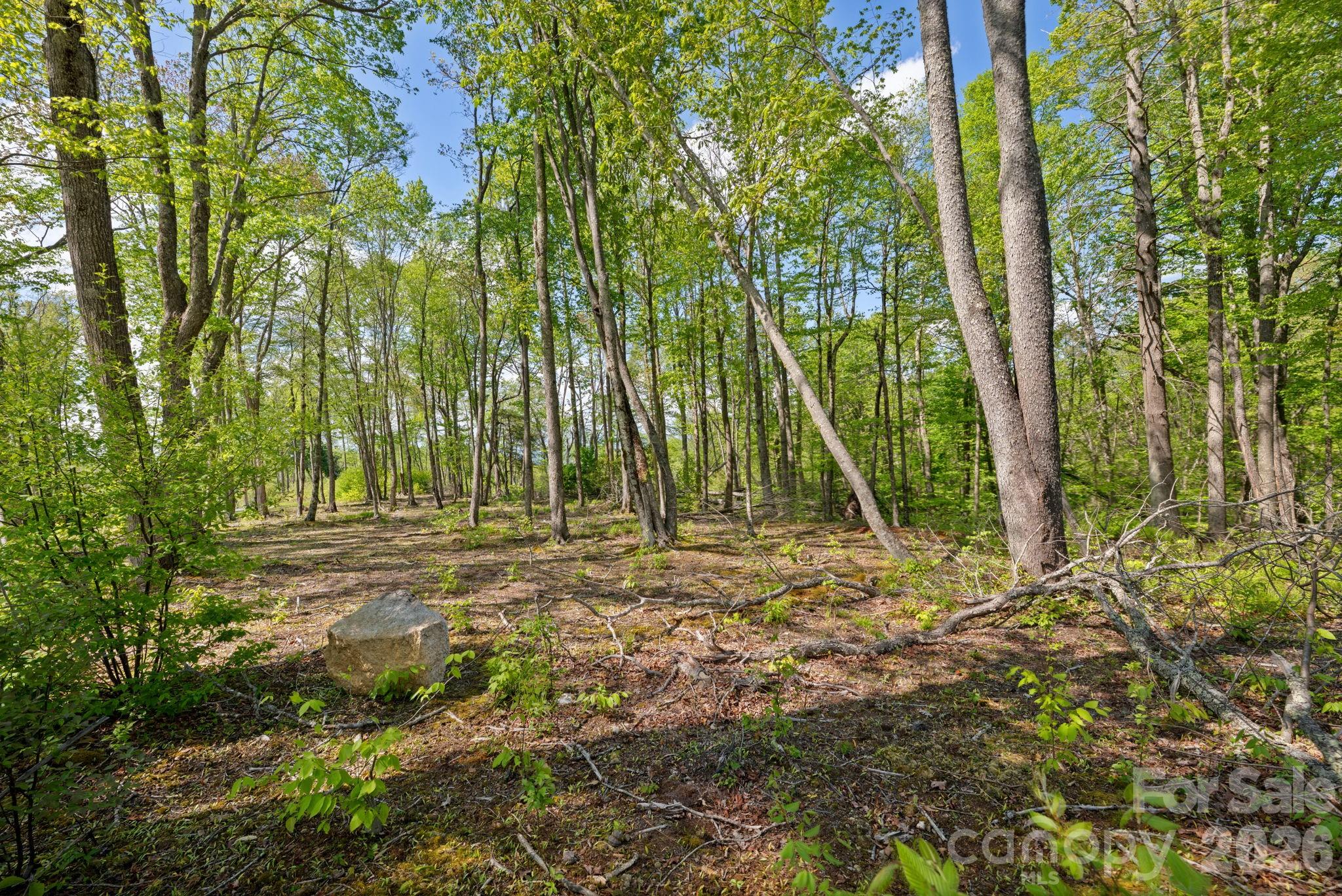 576 Eagle Springs Trail Property Photo 38
