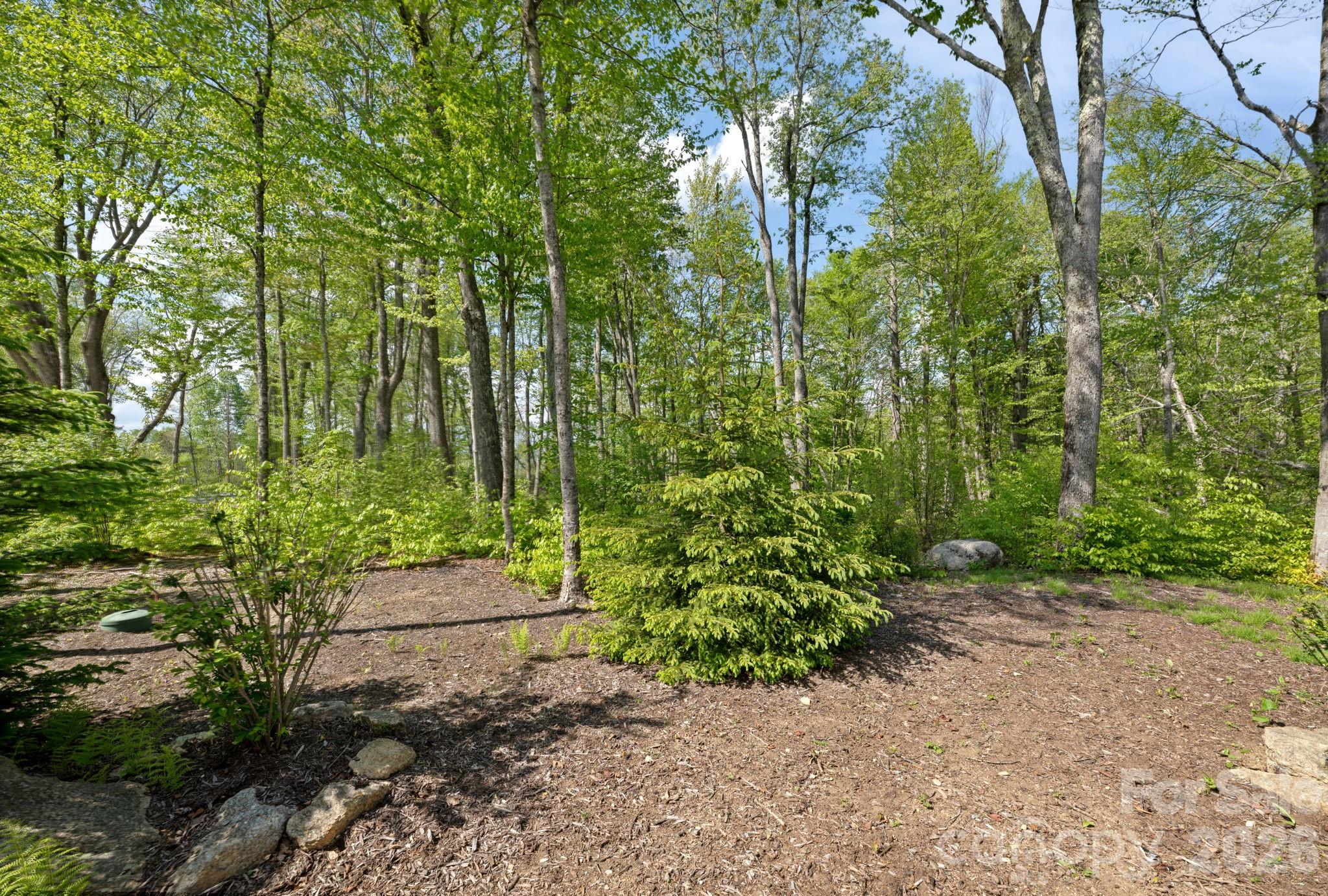 576 Eagle Springs Trail Property Photo 39