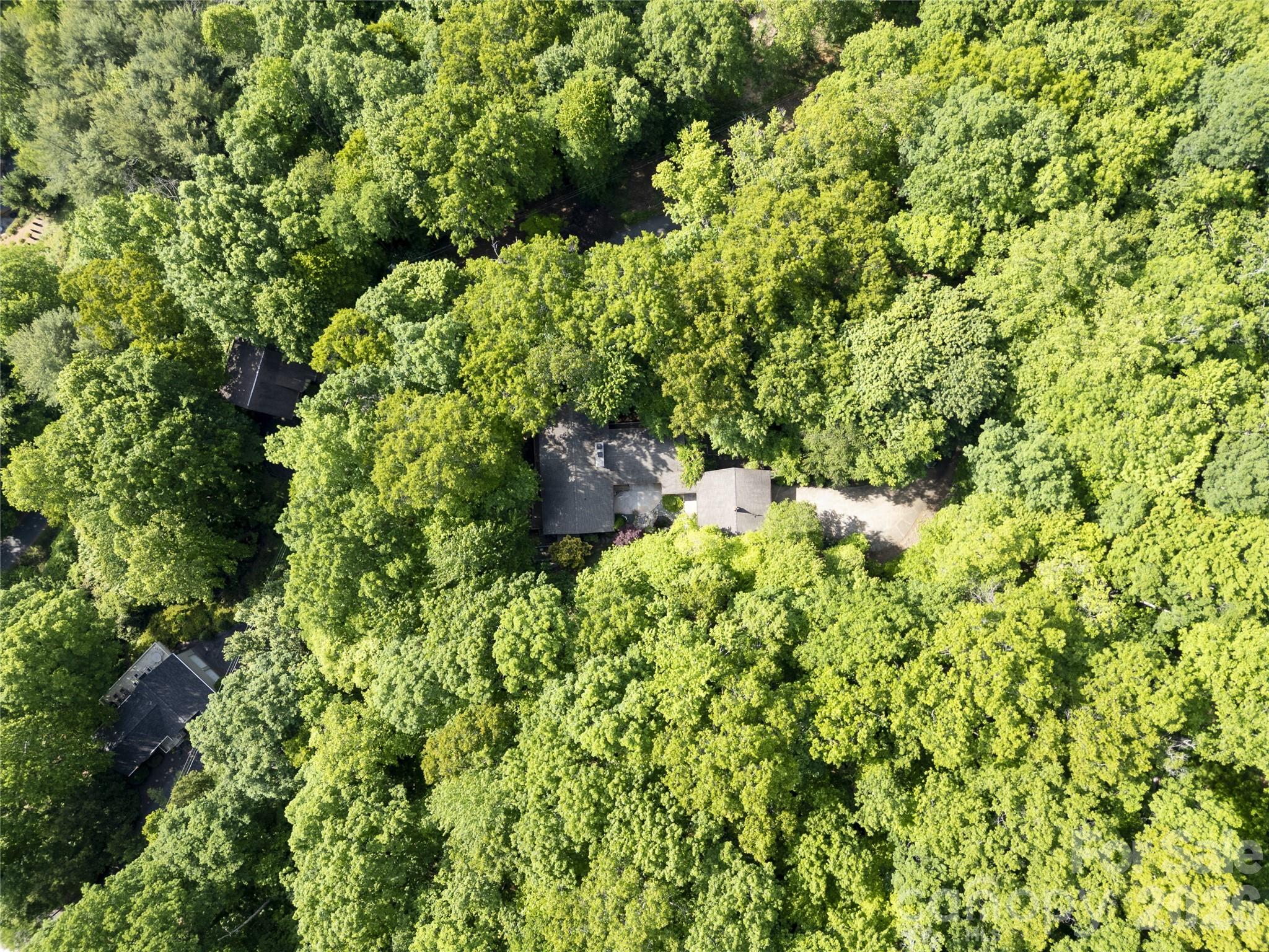 1126 Scenic Circle Property Photo 35