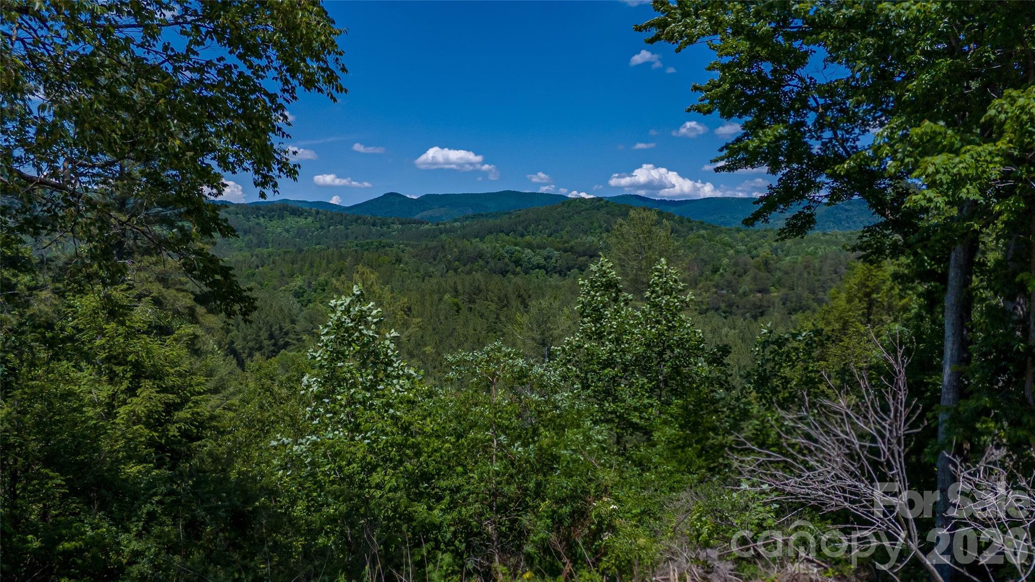 1542 Hwy 226 Highway Property Photo 8