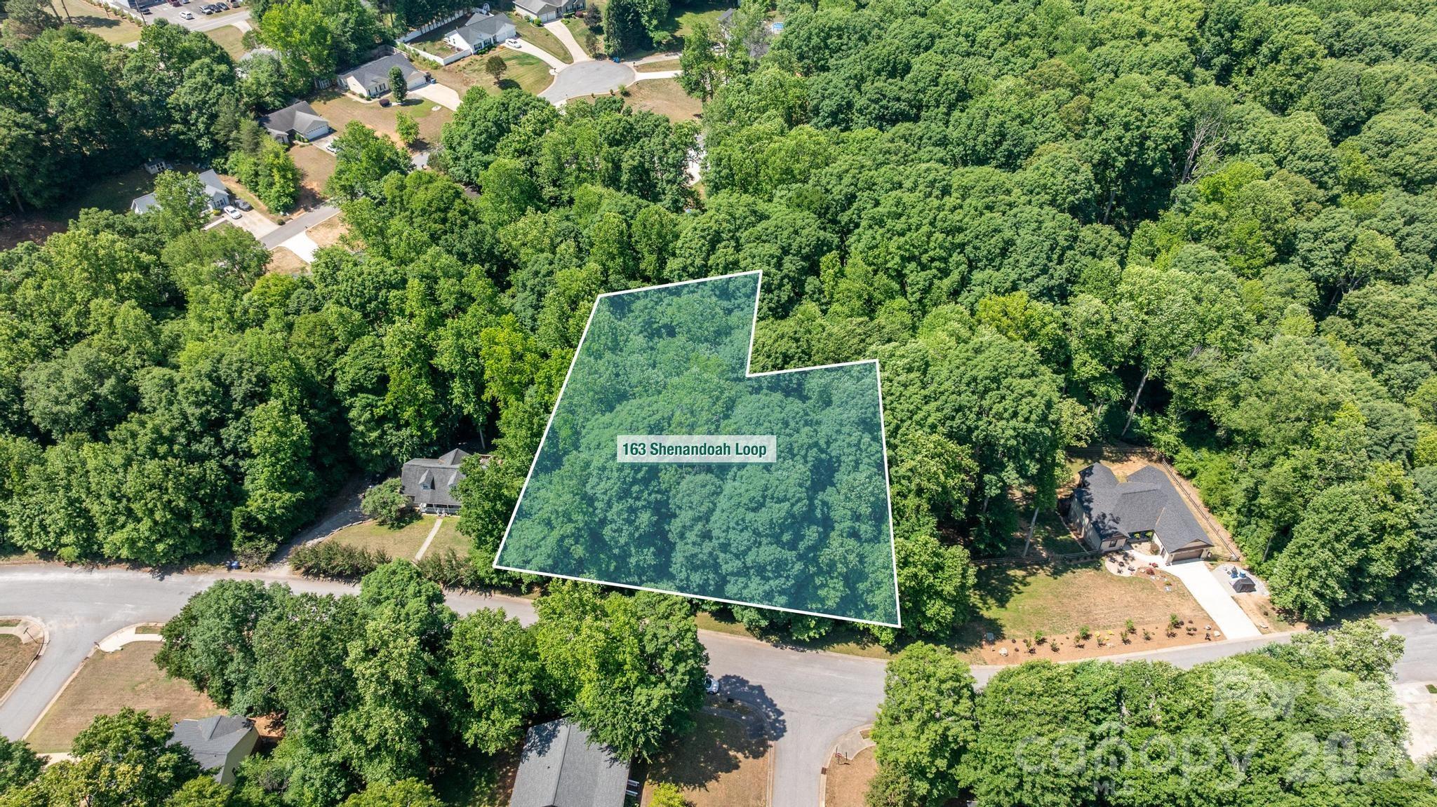 163 Shenandoah Loop Property Photo 1