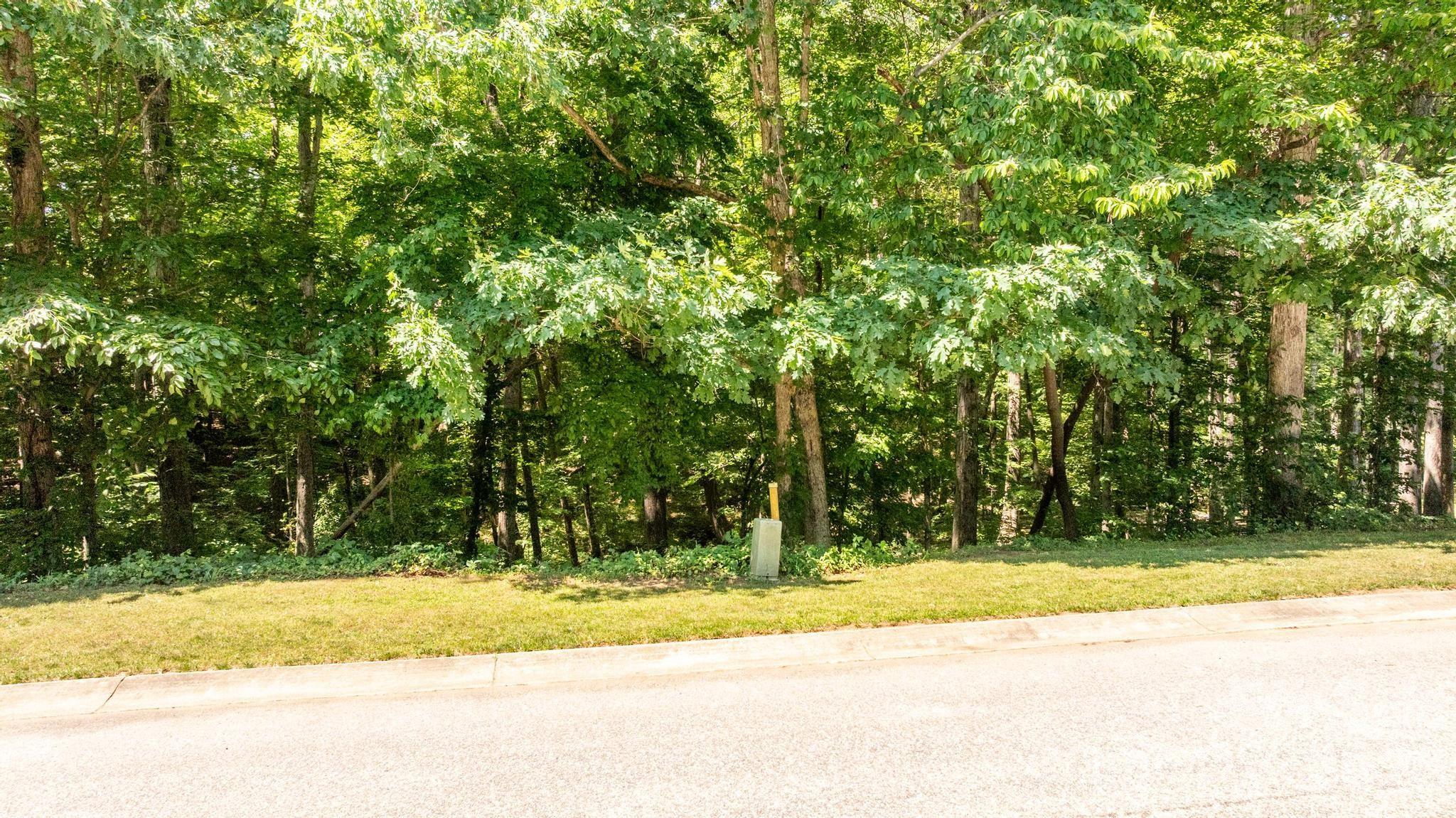 163 Shenandoah Loop Property Photo 4