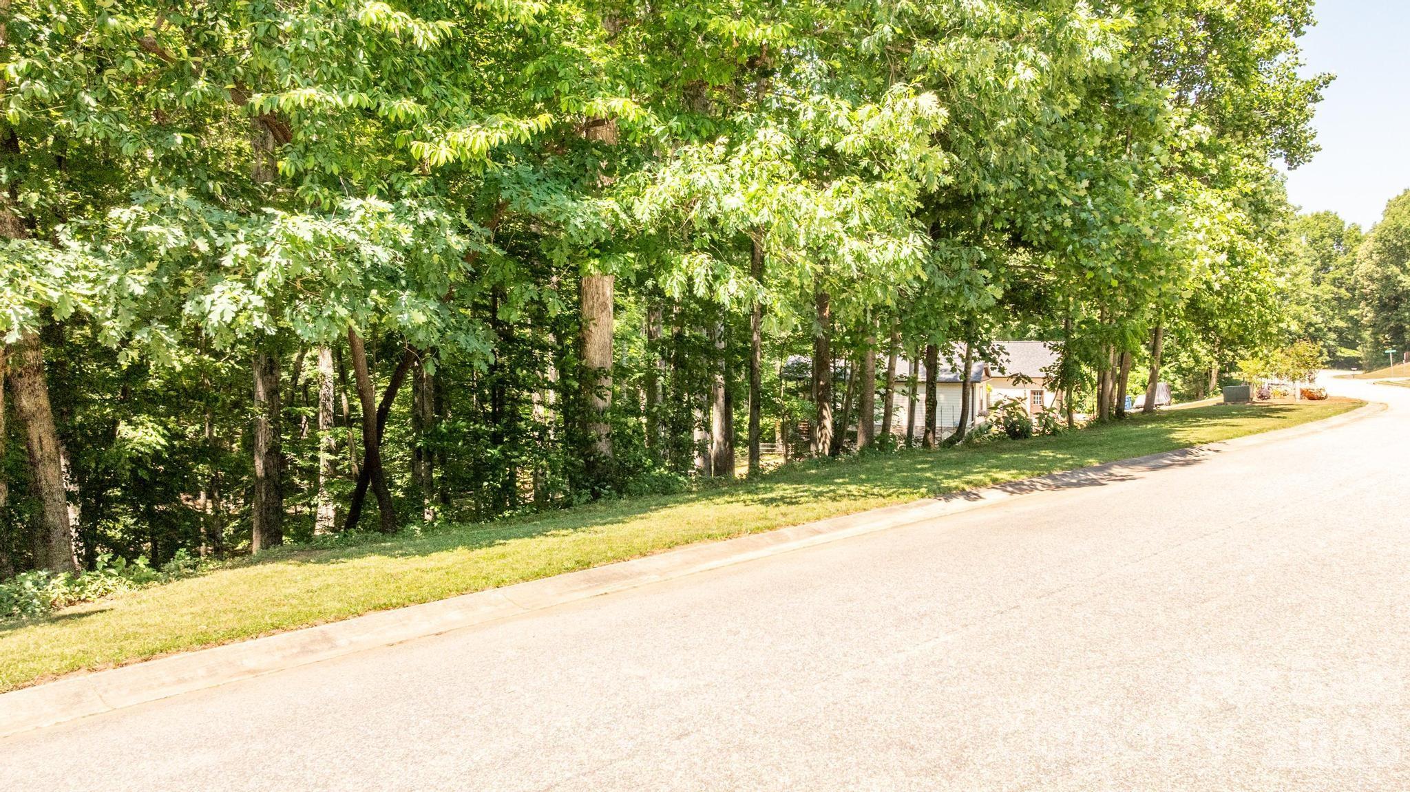 163 Shenandoah Loop Property Photo 5