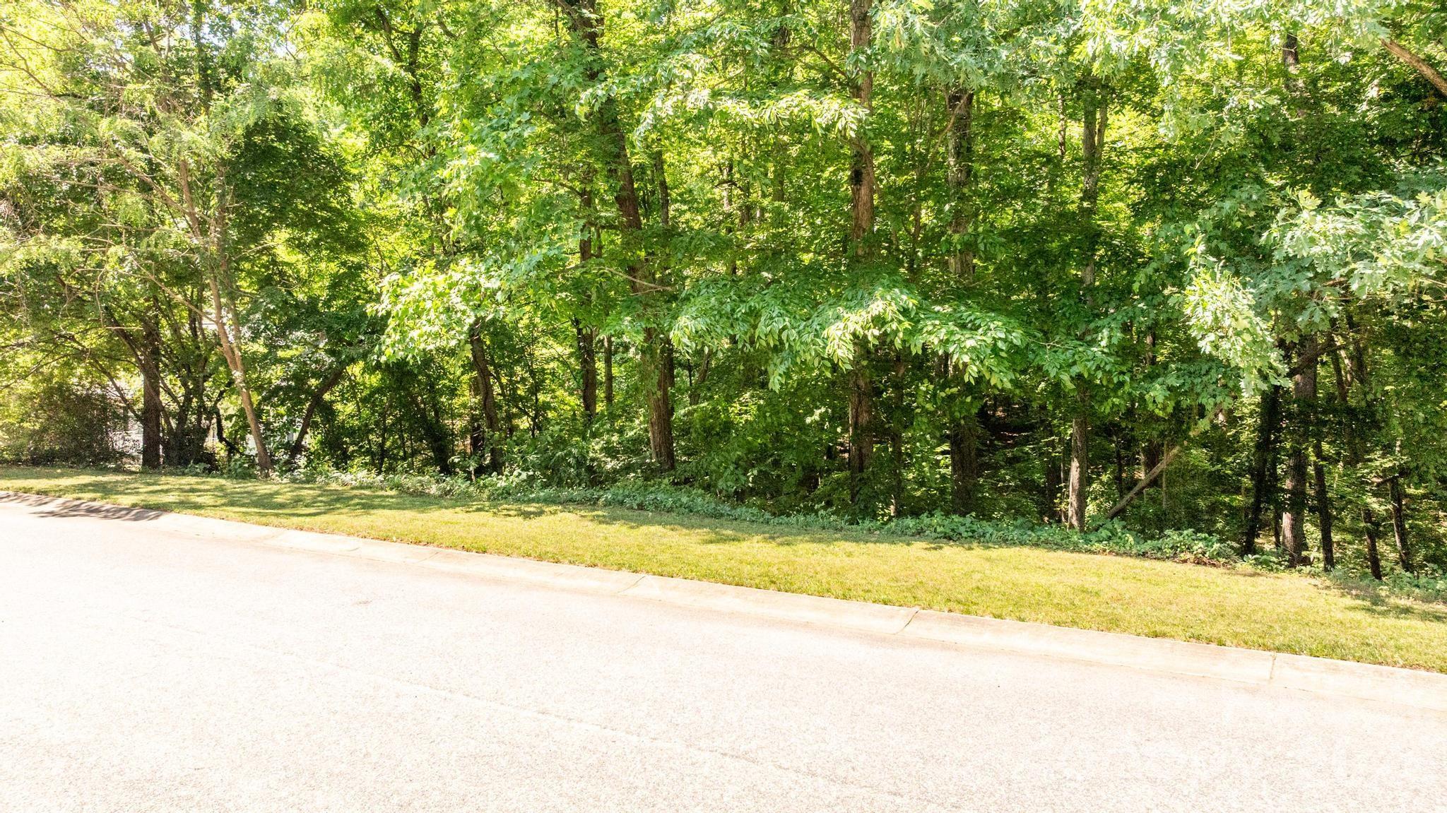 163 Shenandoah Loop Property Photo 6