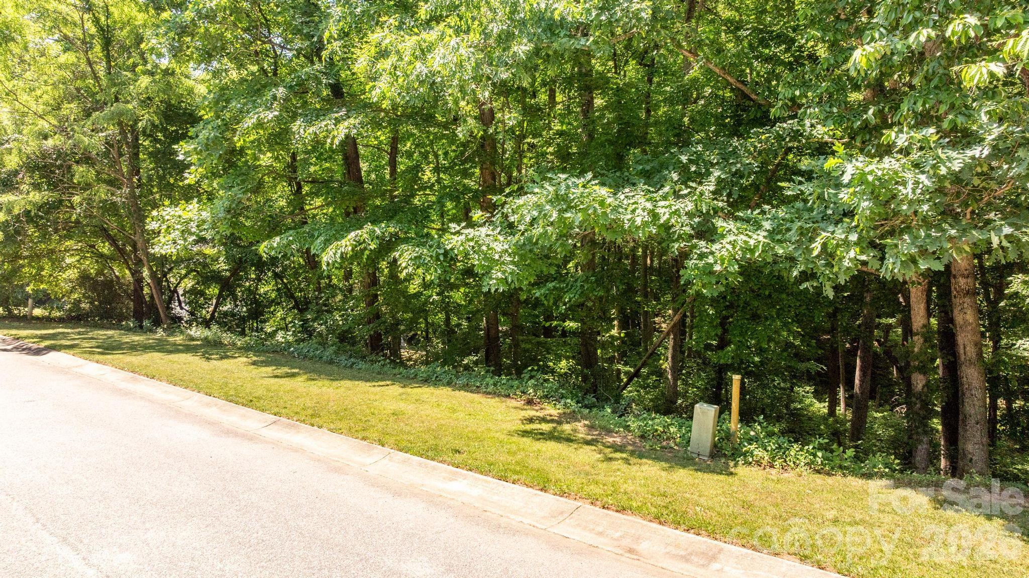 163 Shenandoah Loop Property Photo 7
